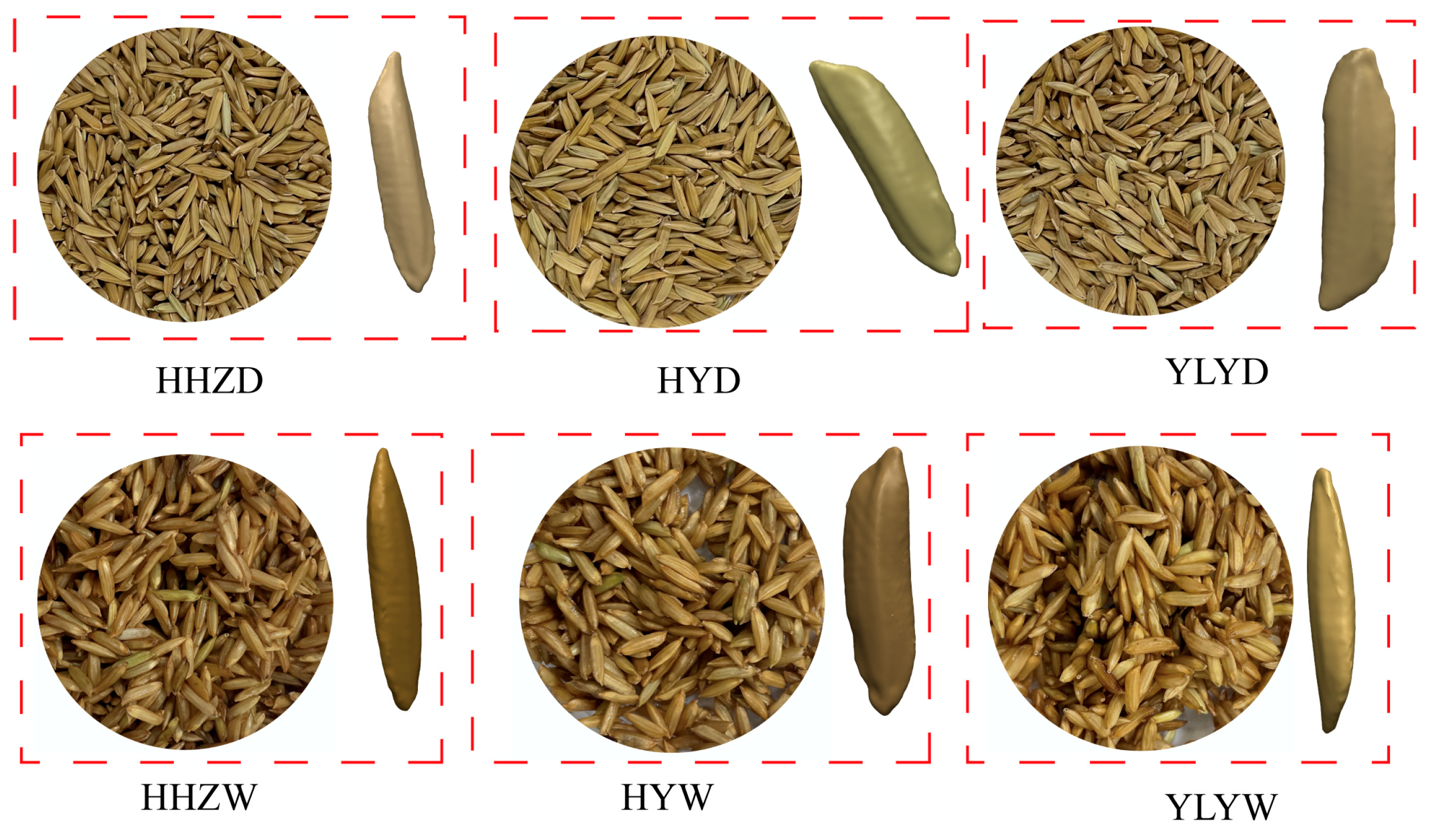 Agronomy 15 01145 g012