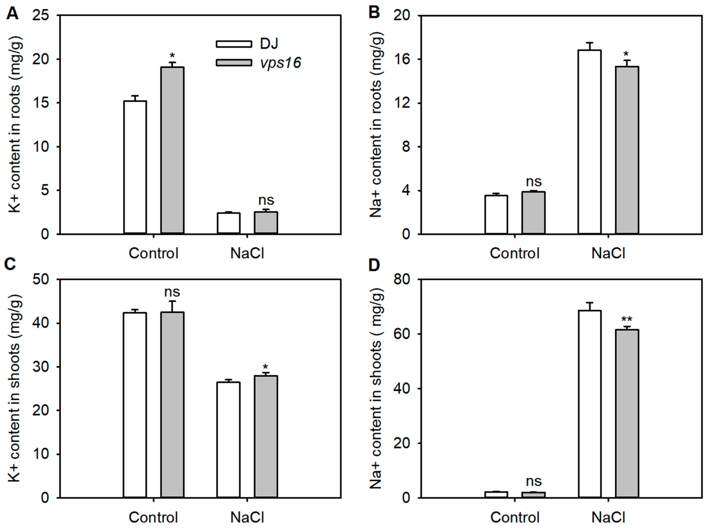 Agronomy 15 01146 g004