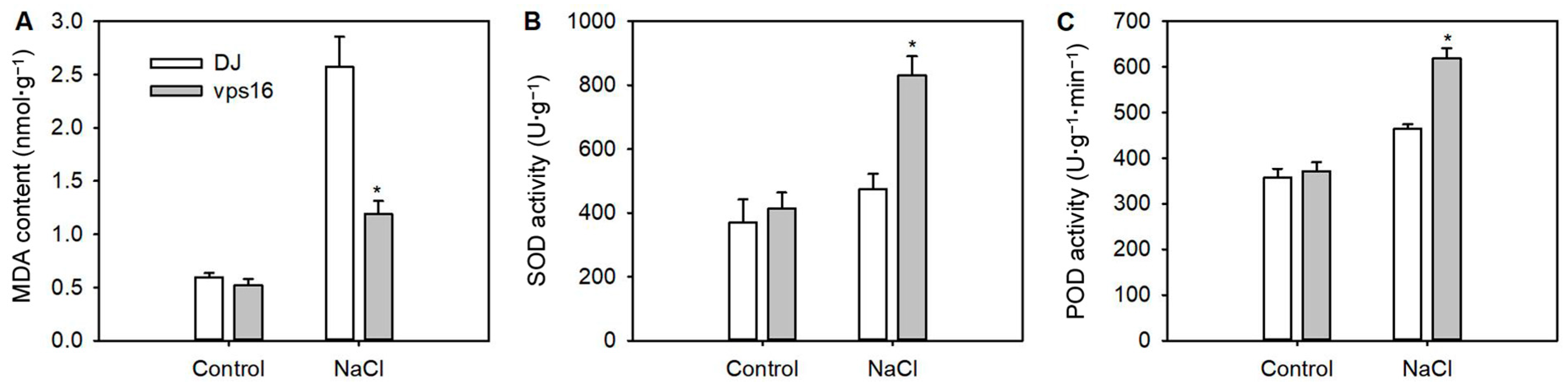Agronomy 15 01146 g005