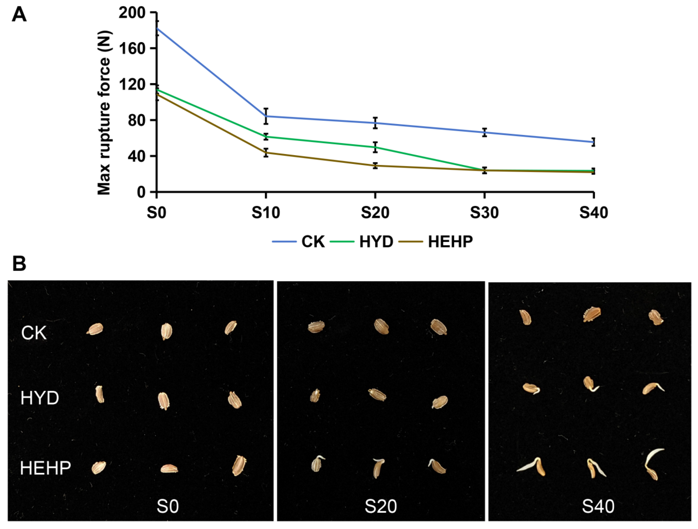 Agronomy 15 01147 g001