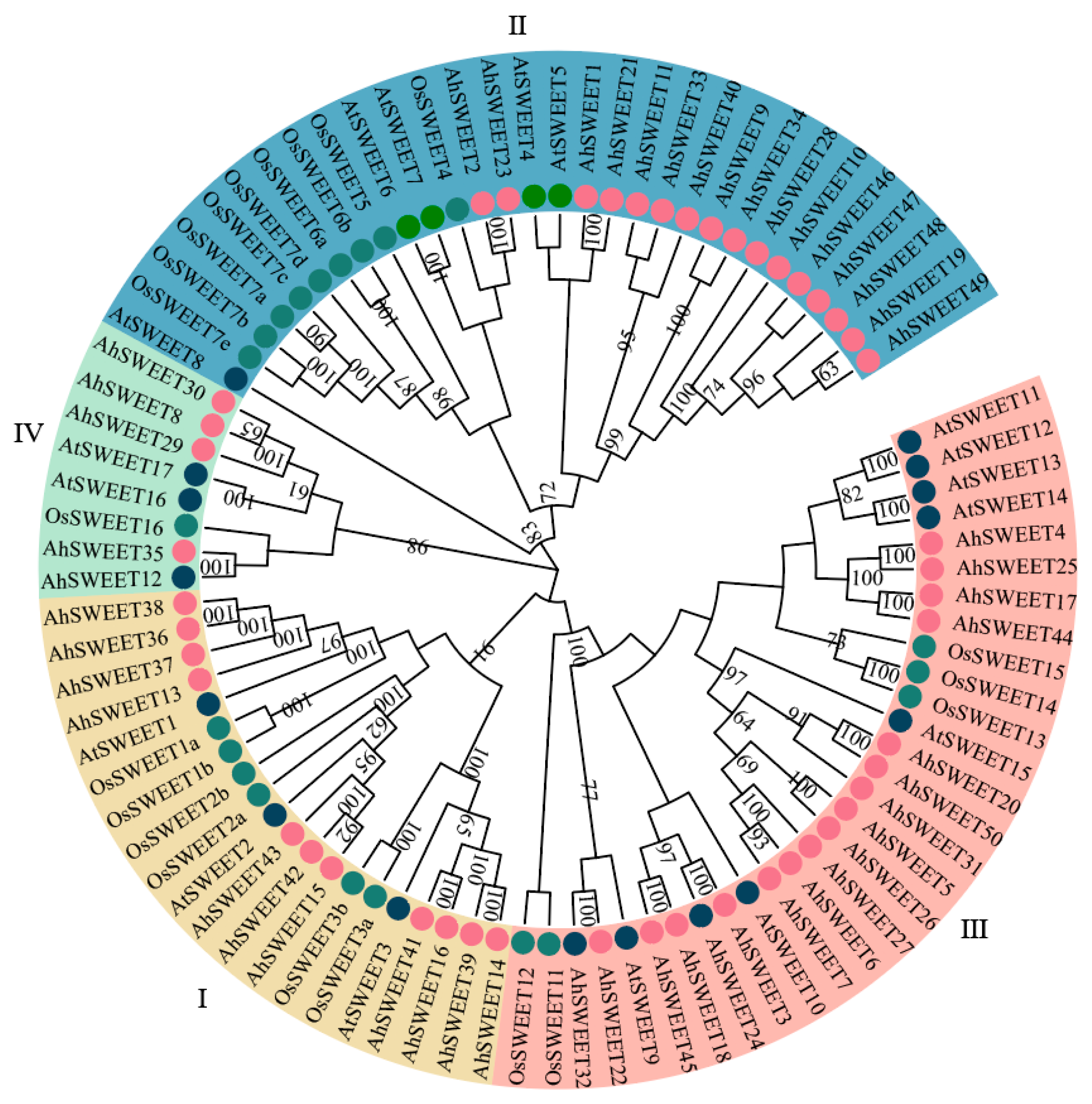 Agronomy 15 01149 g001