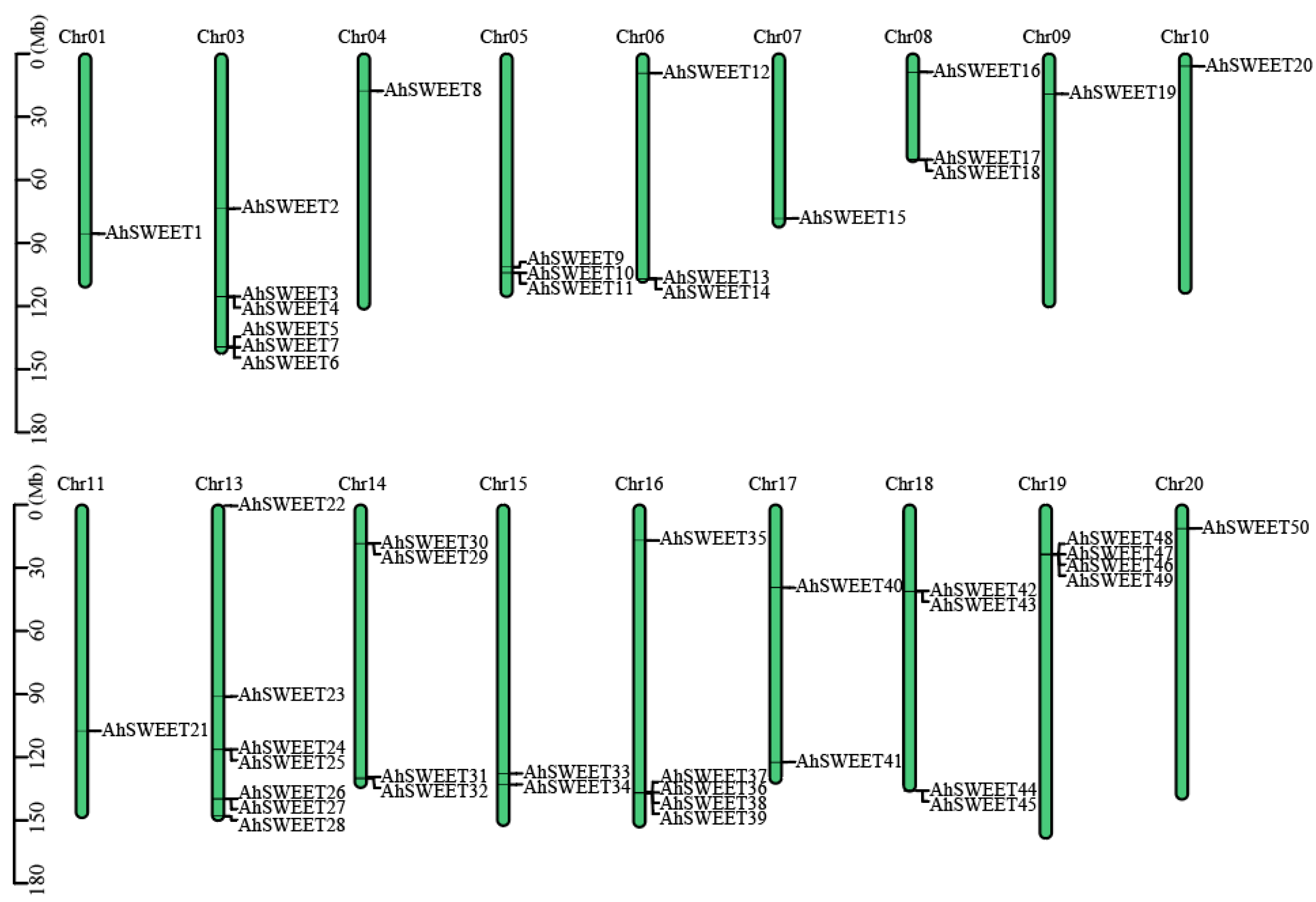 Agronomy 15 01149 g002