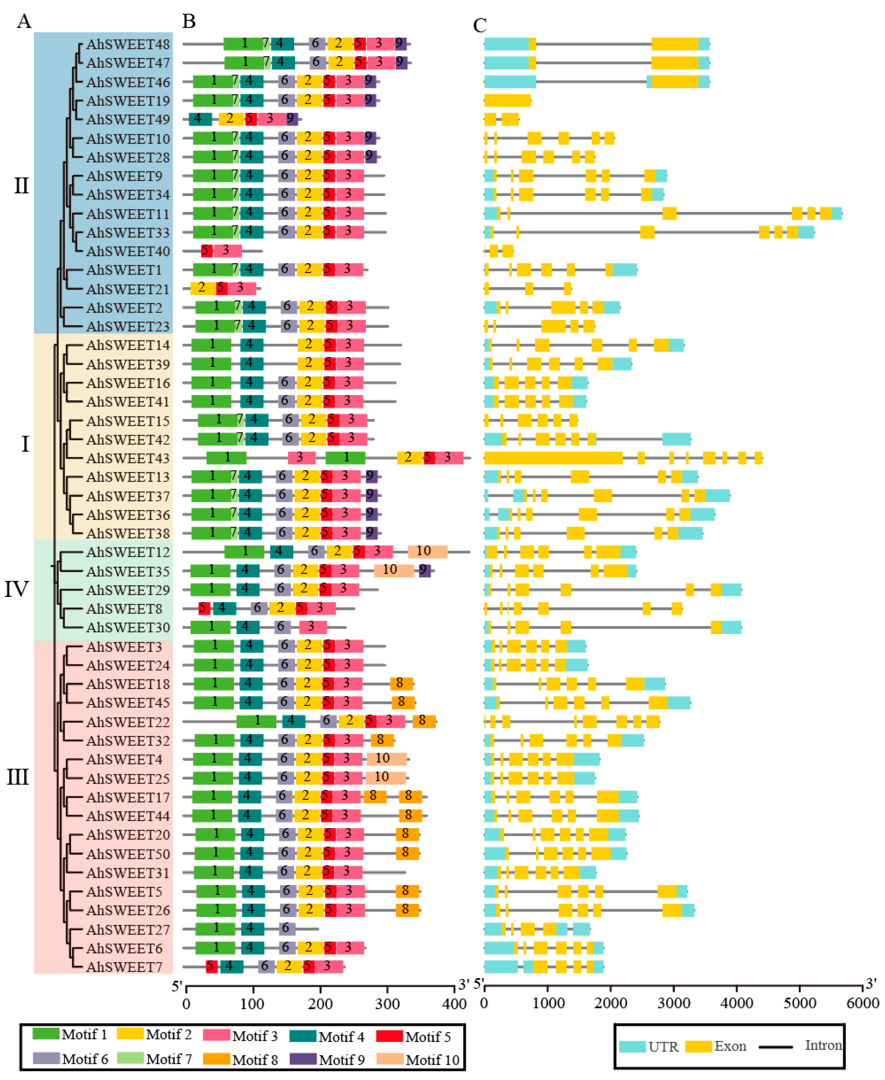 Agronomy 15 01149 g003