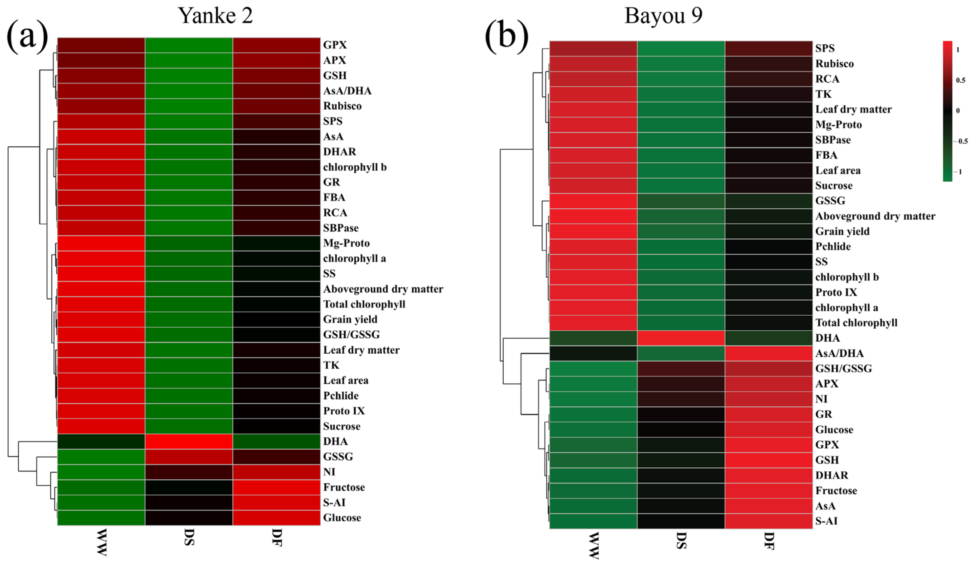 Agronomy 15 01153 g009