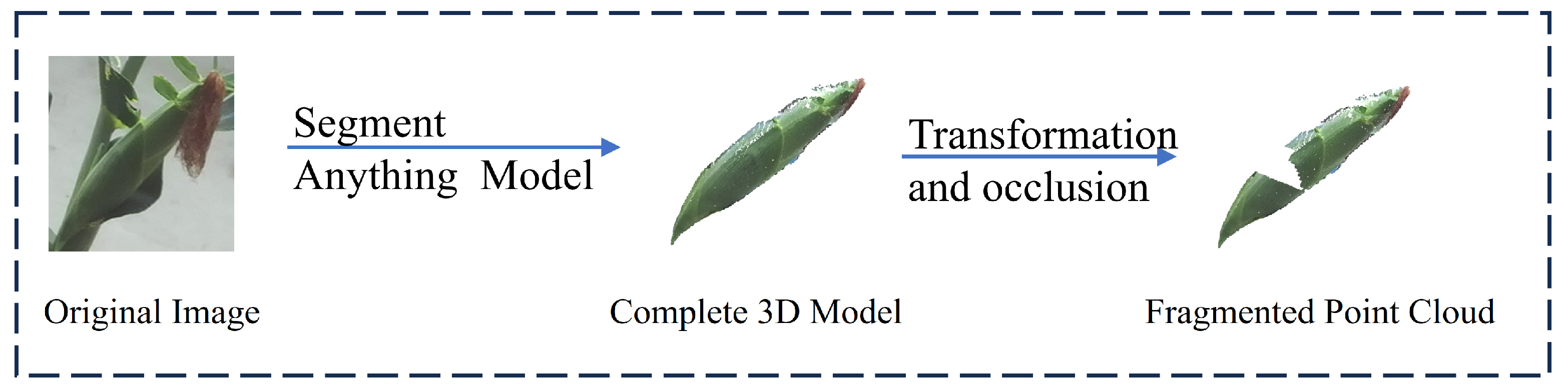 Agronomy 15 01155 g001