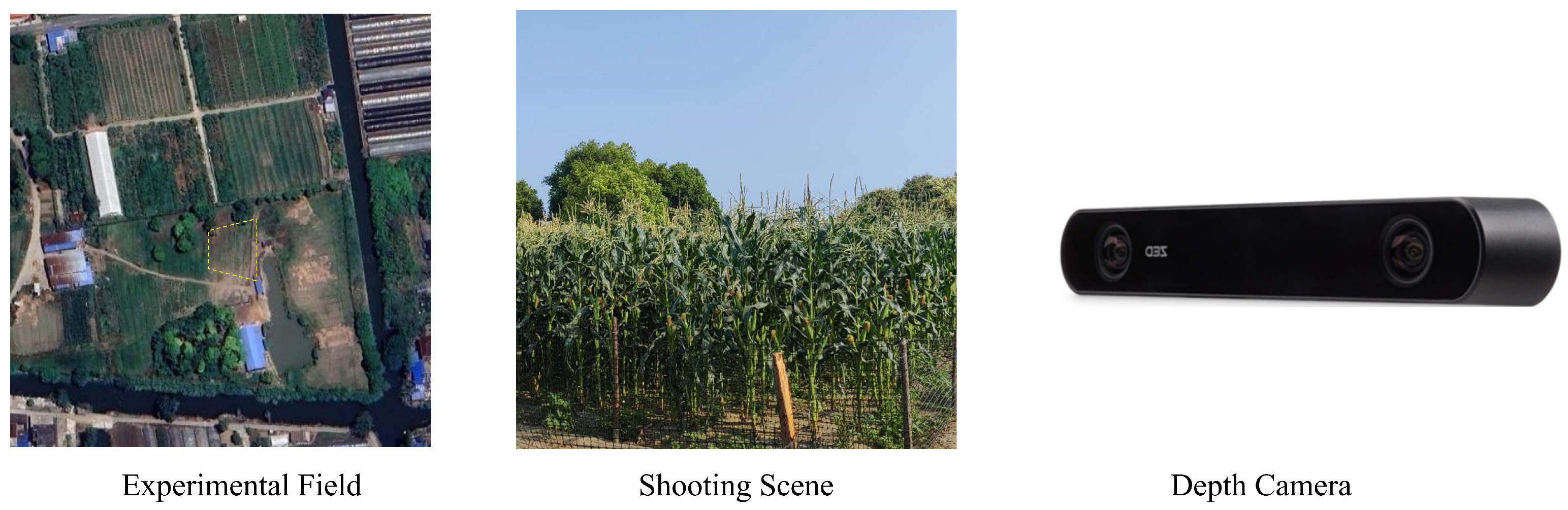 Agronomy 15 01155 g002