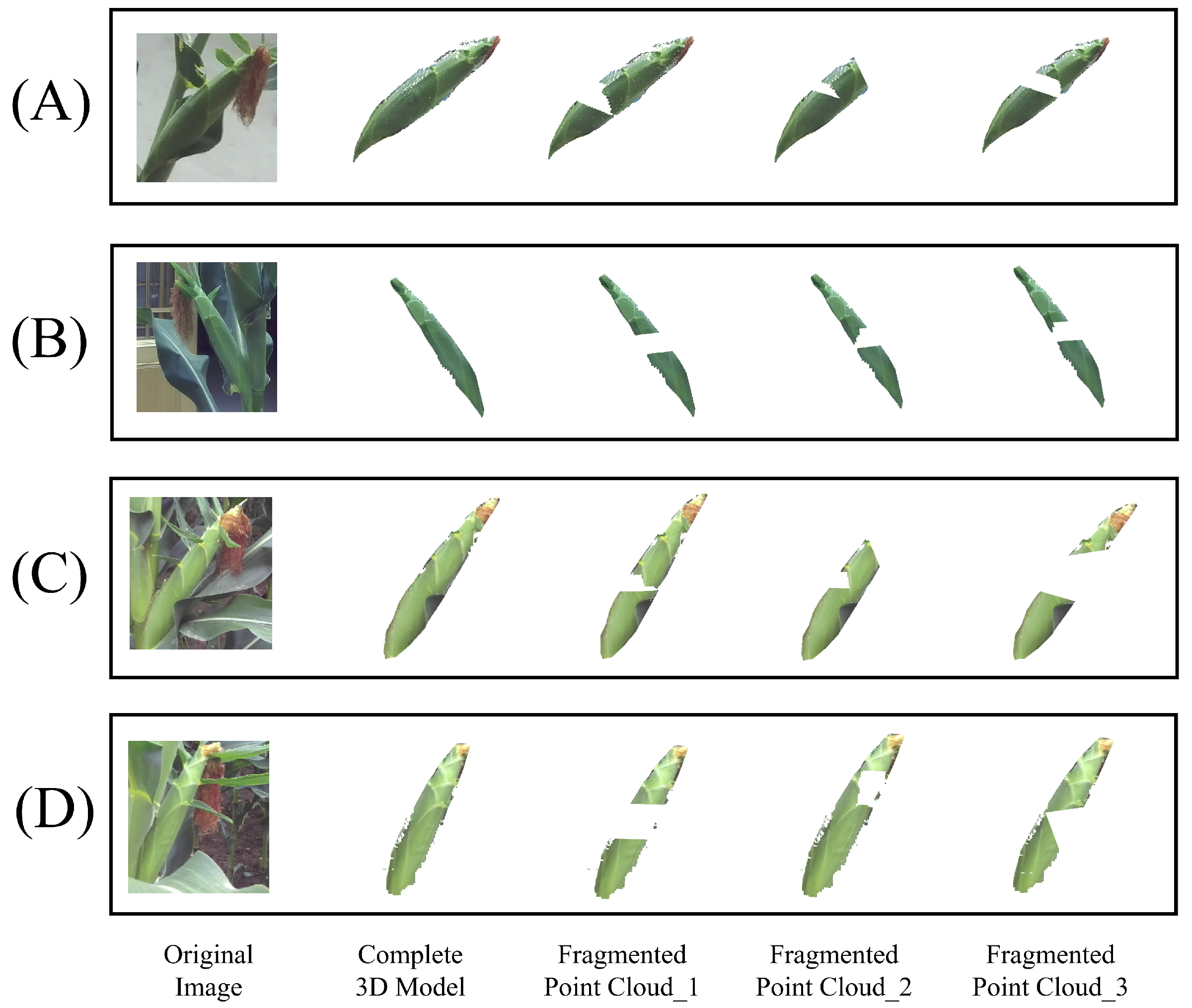 Agronomy 15 01155 g003