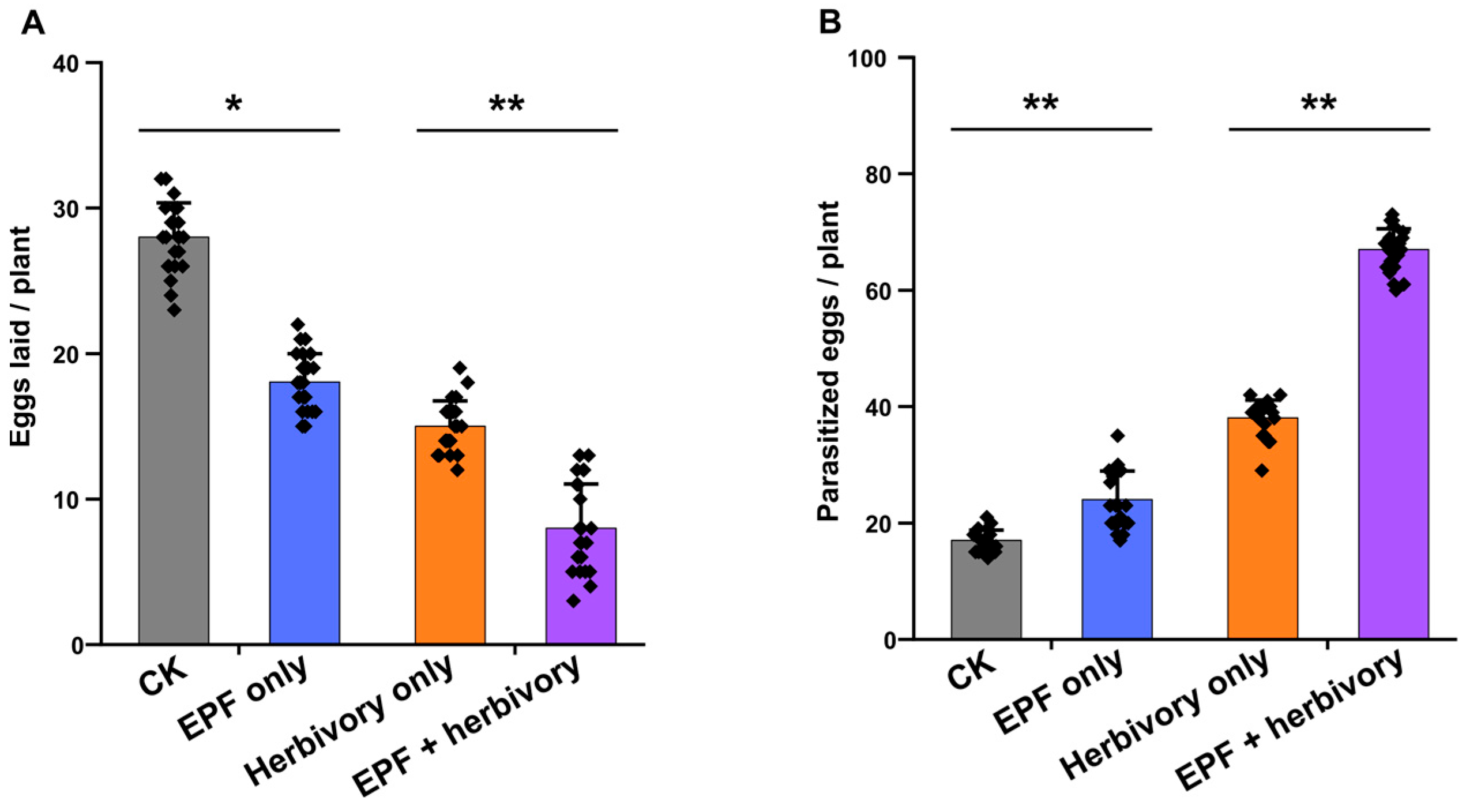 Agronomy 15 01161 g001