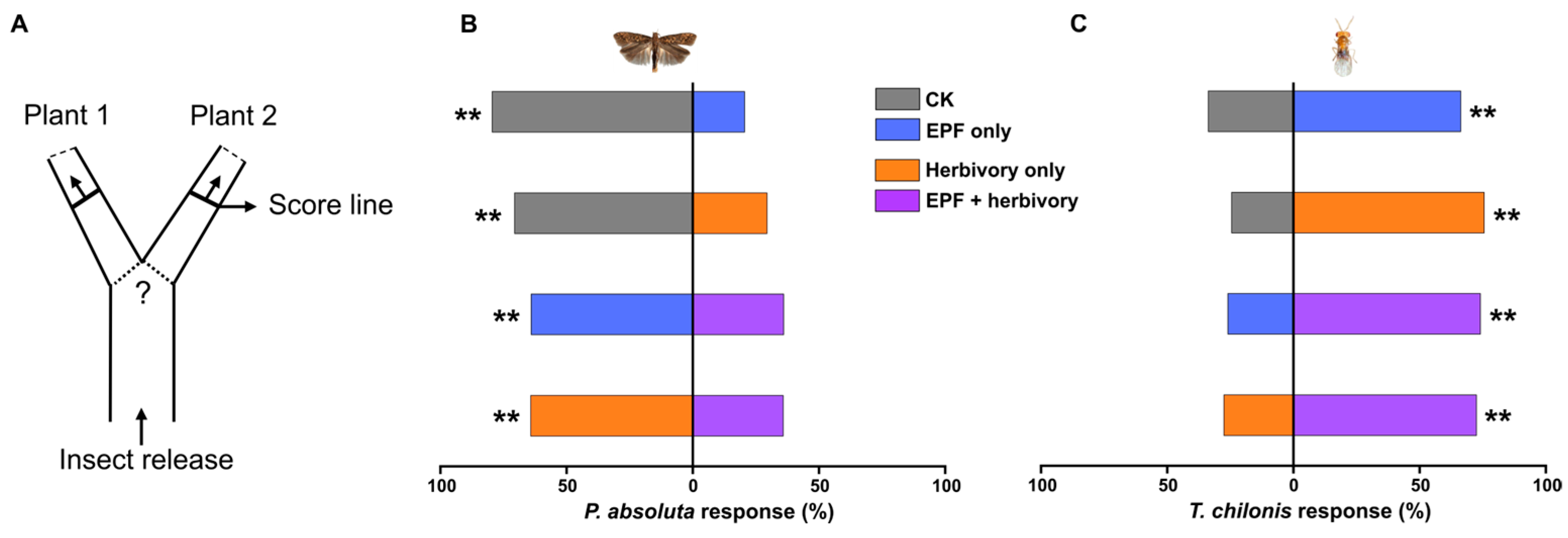 Agronomy 15 01161 g002