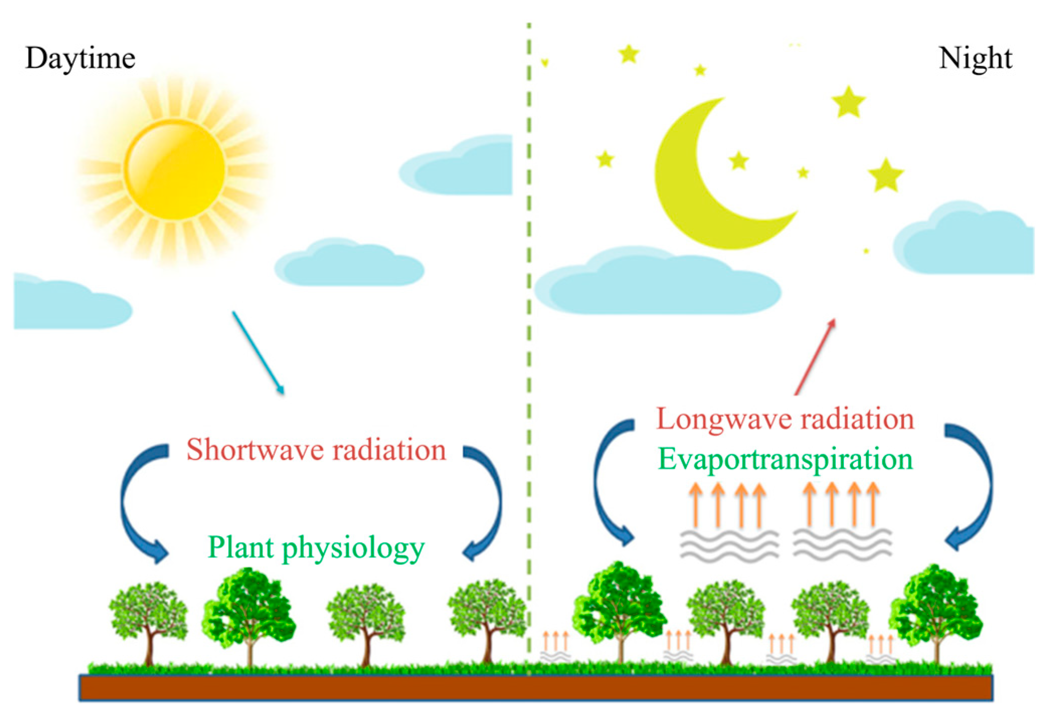 Agronomy 15 01164 g001
