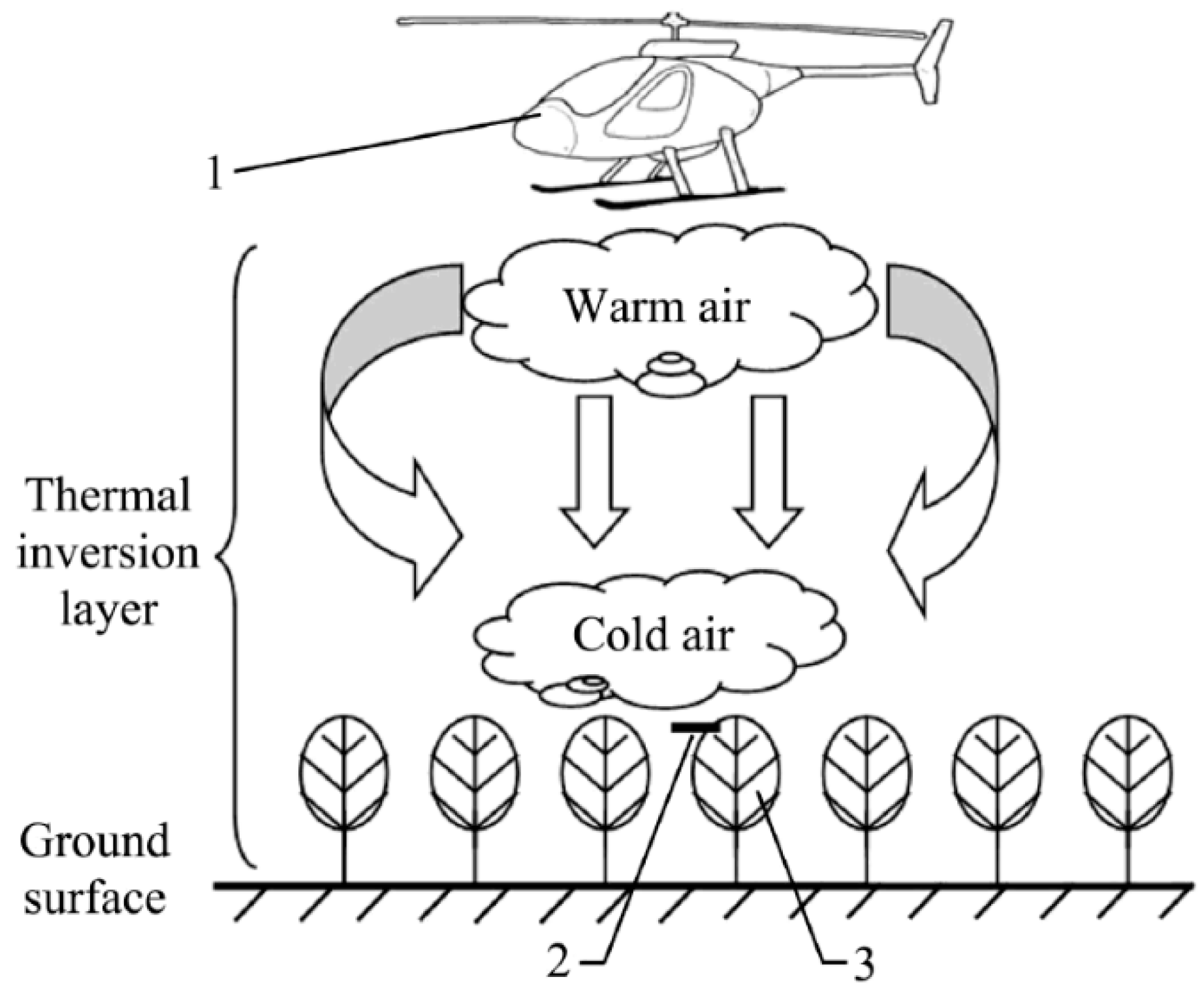 Agronomy 15 01164 g007