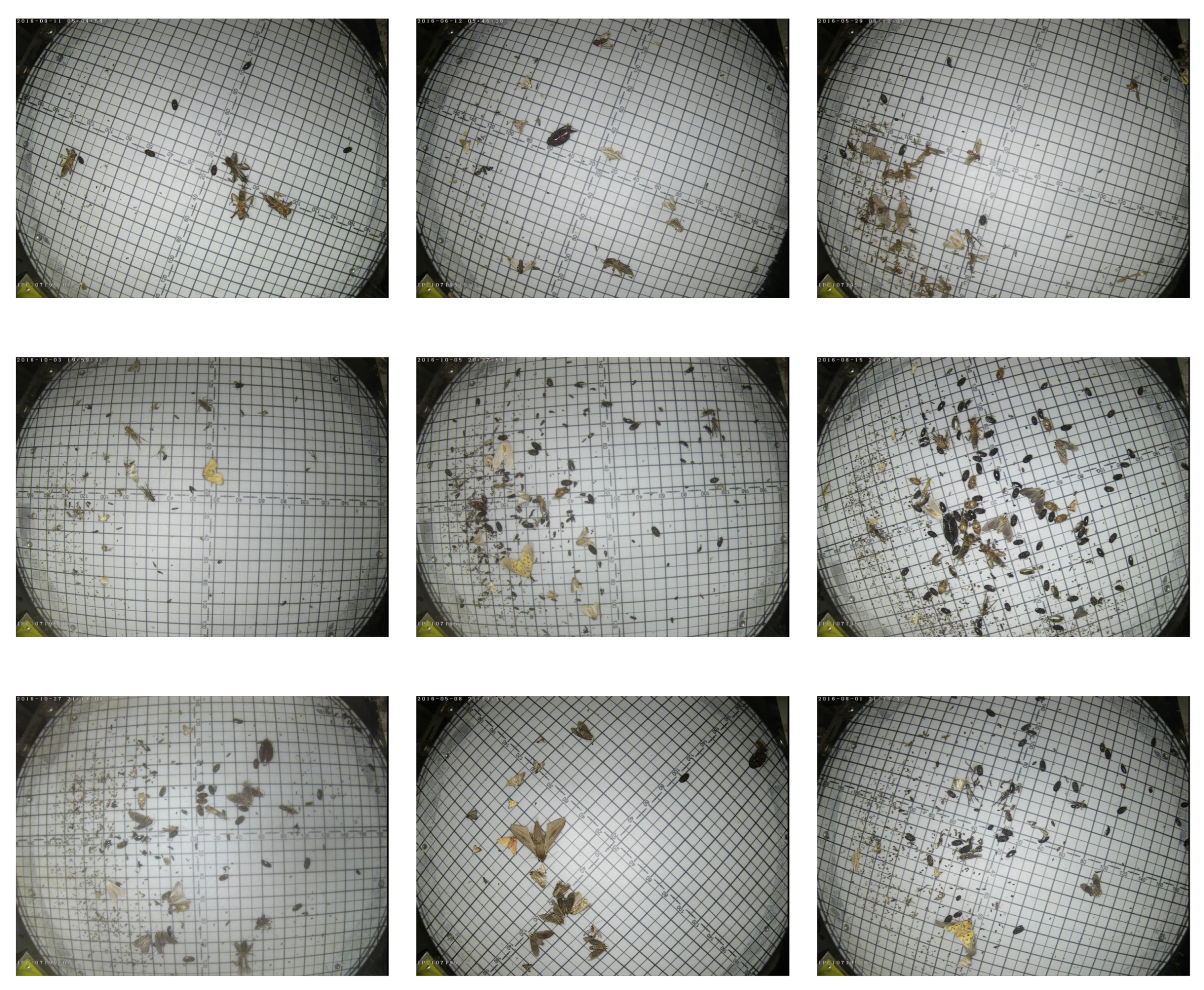 Agronomy 15 01168 g002