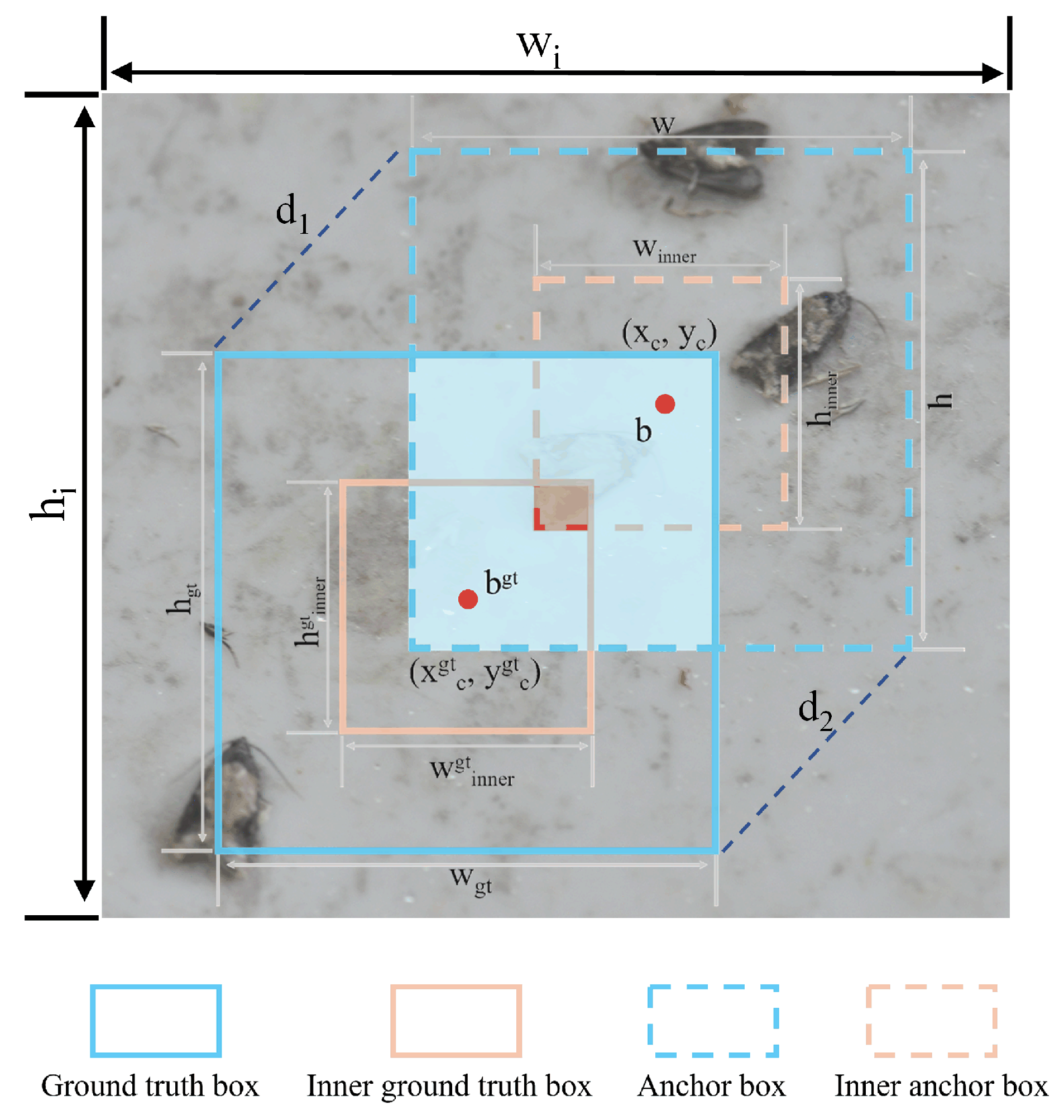 Agronomy 15 01168 g006