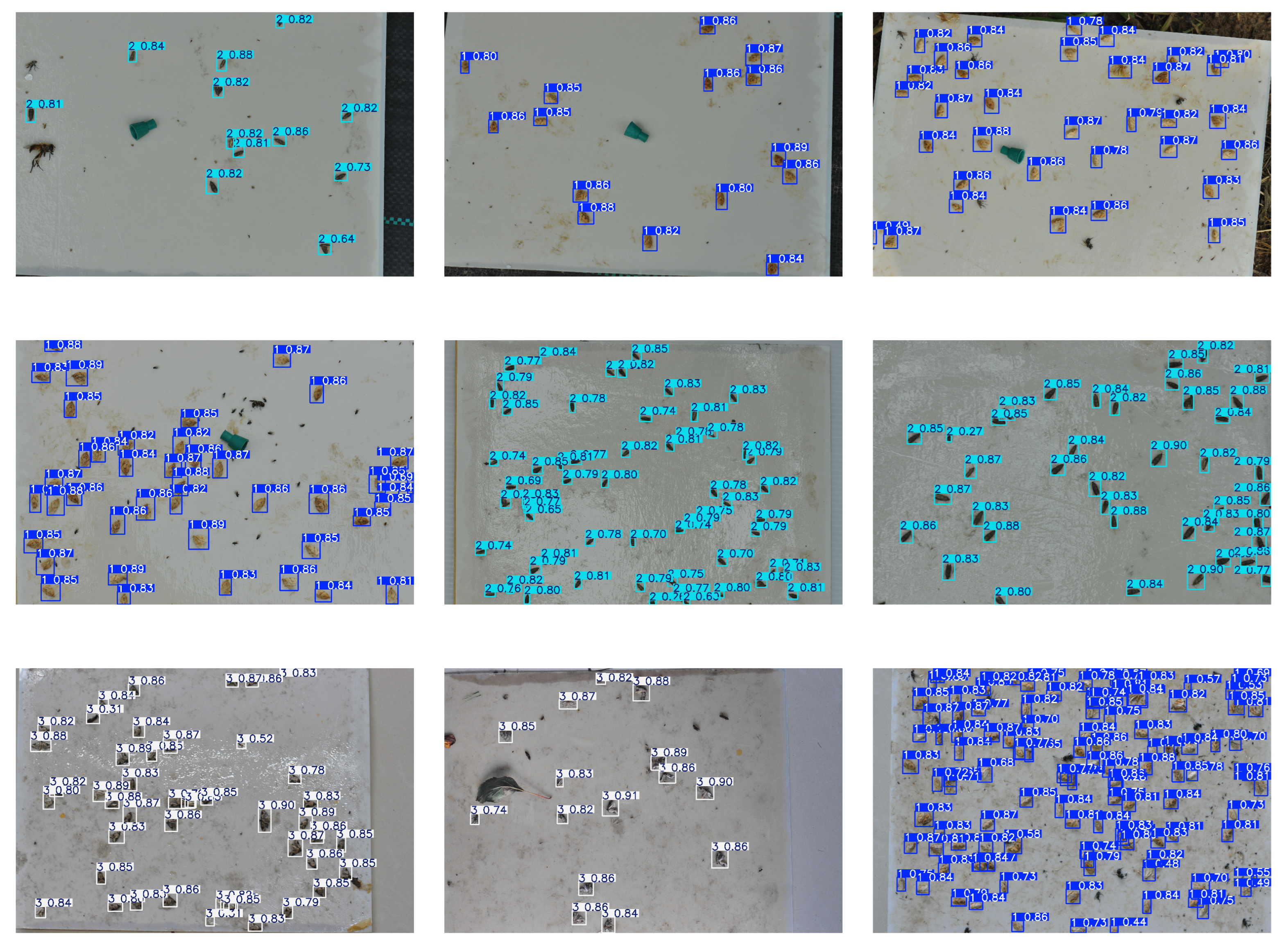 Agronomy 15 01168 g007