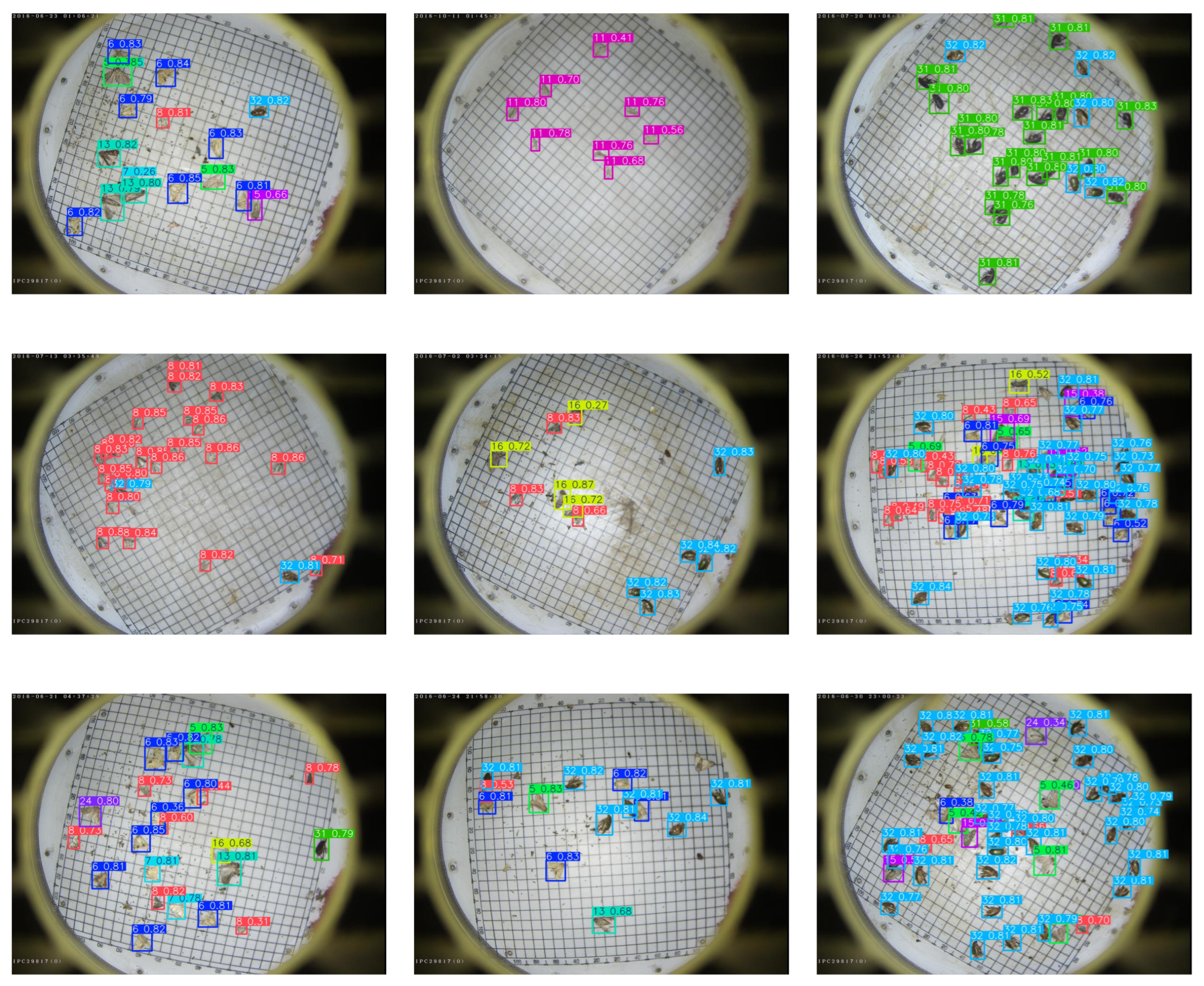 Agronomy 15 01168 g008