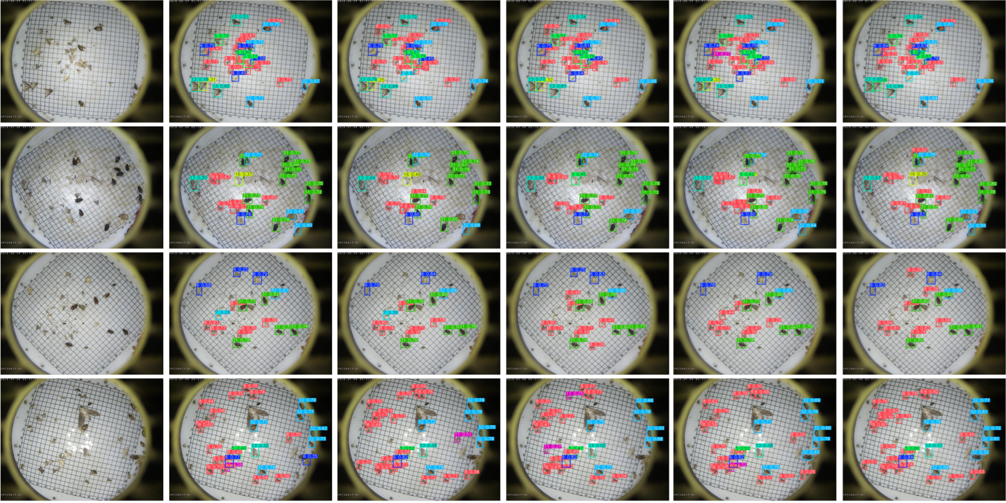 Agronomy 15 01168 g010a