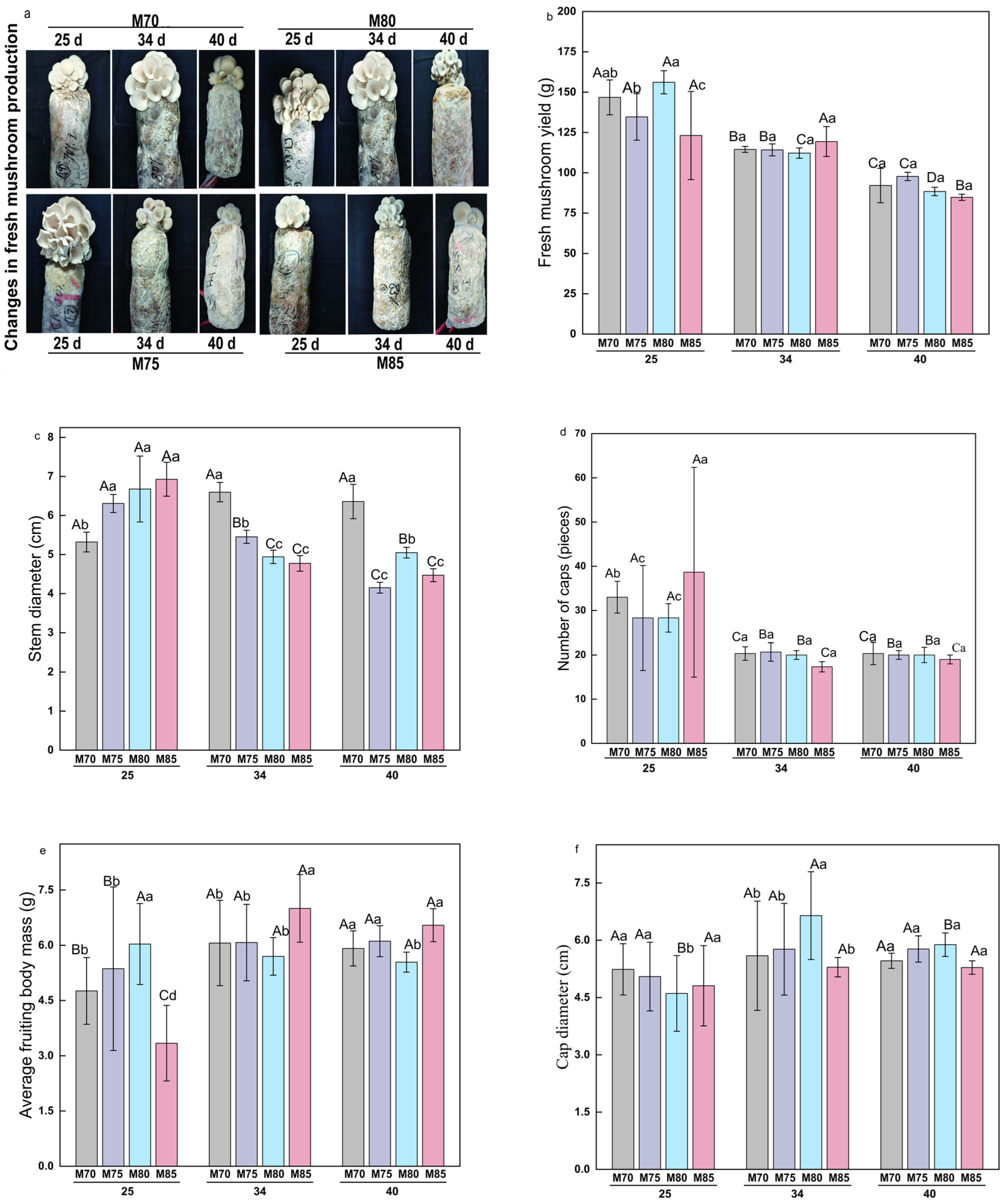 Agronomy 15 01171 g001