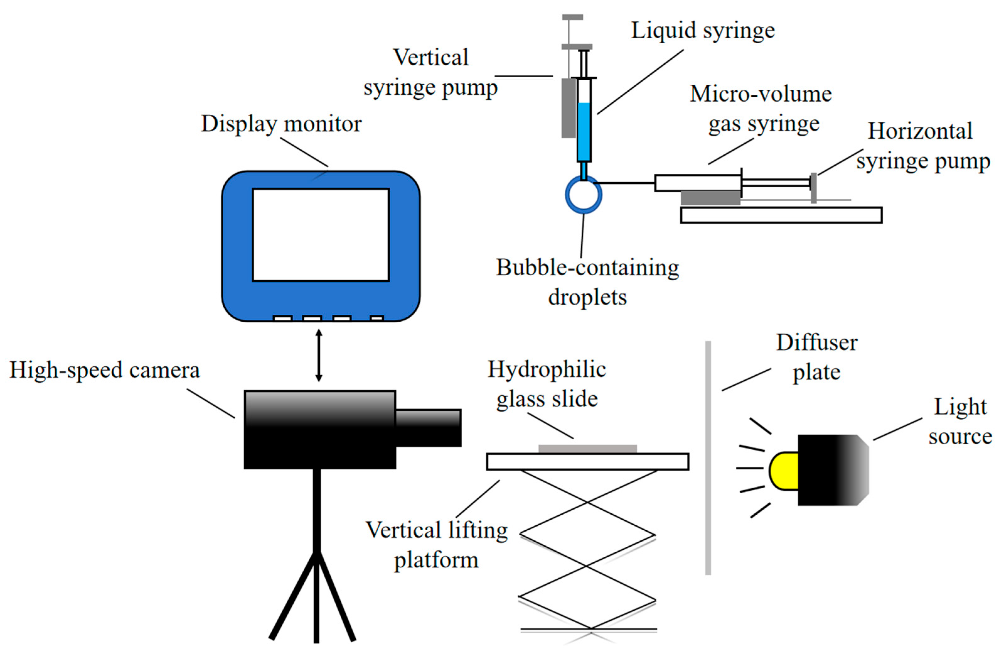Agronomy 15 01172 g001