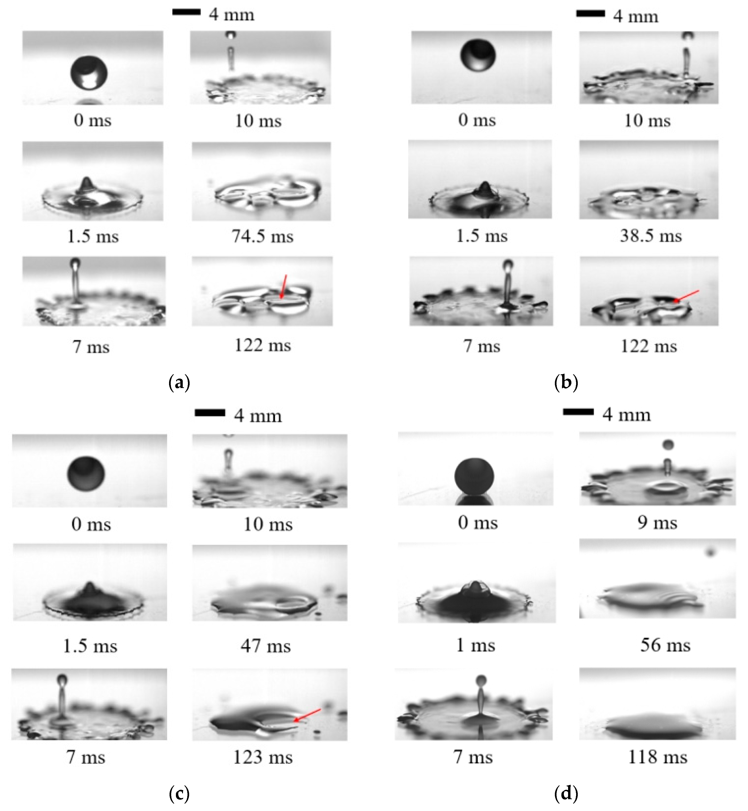Agronomy 15 01172 g003