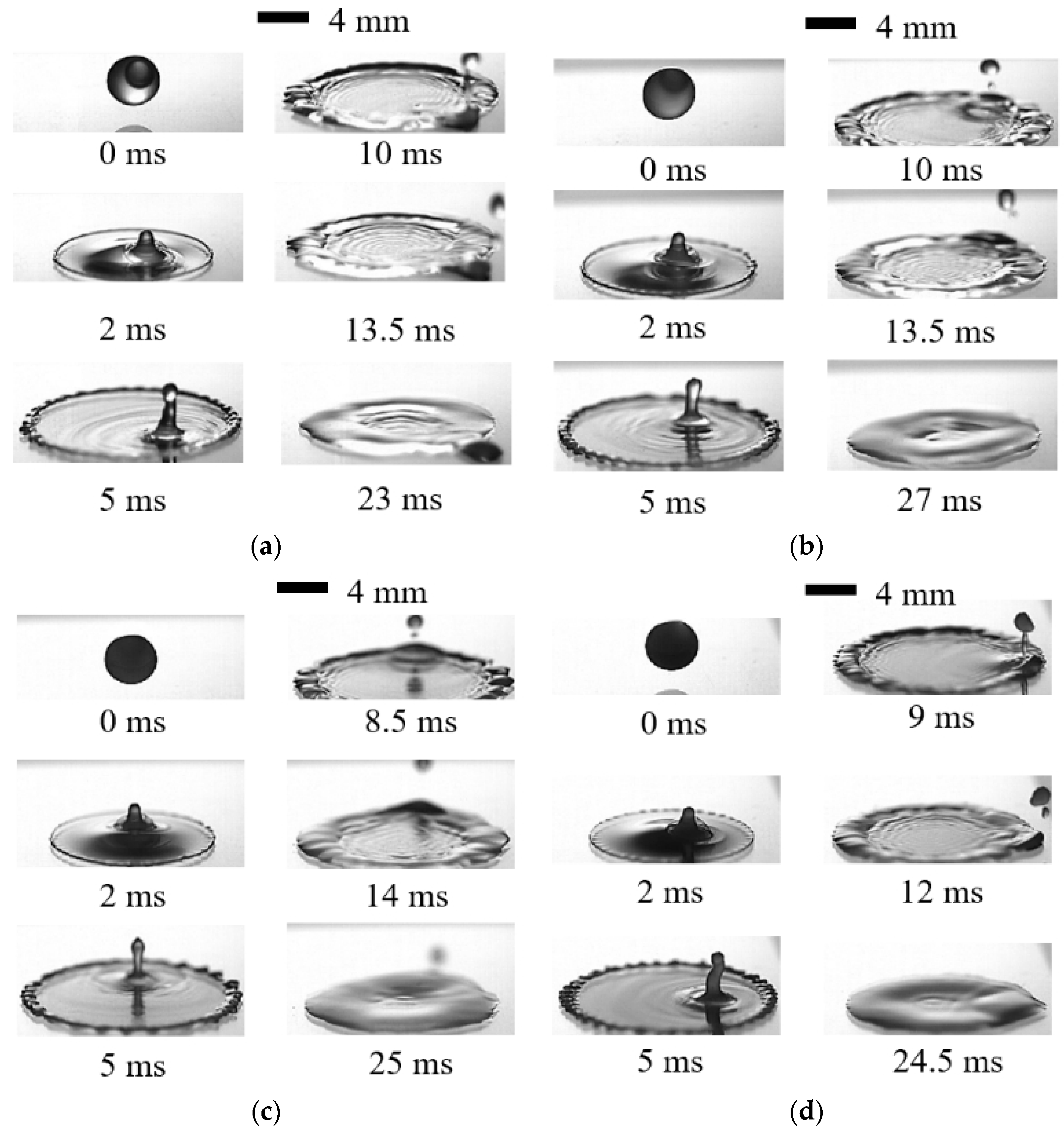 Agronomy 15 01172 g005