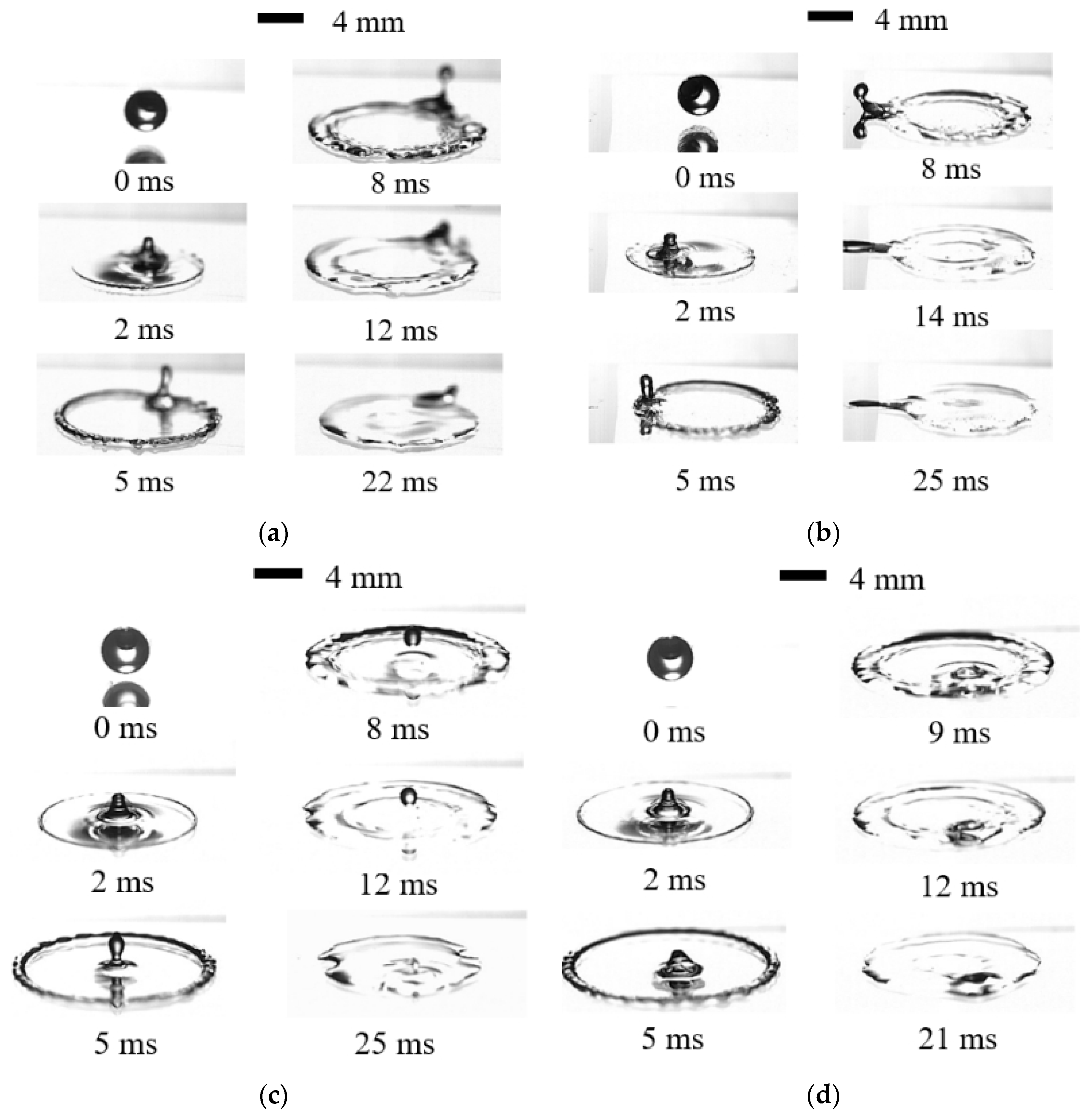 Agronomy 15 01172 g007