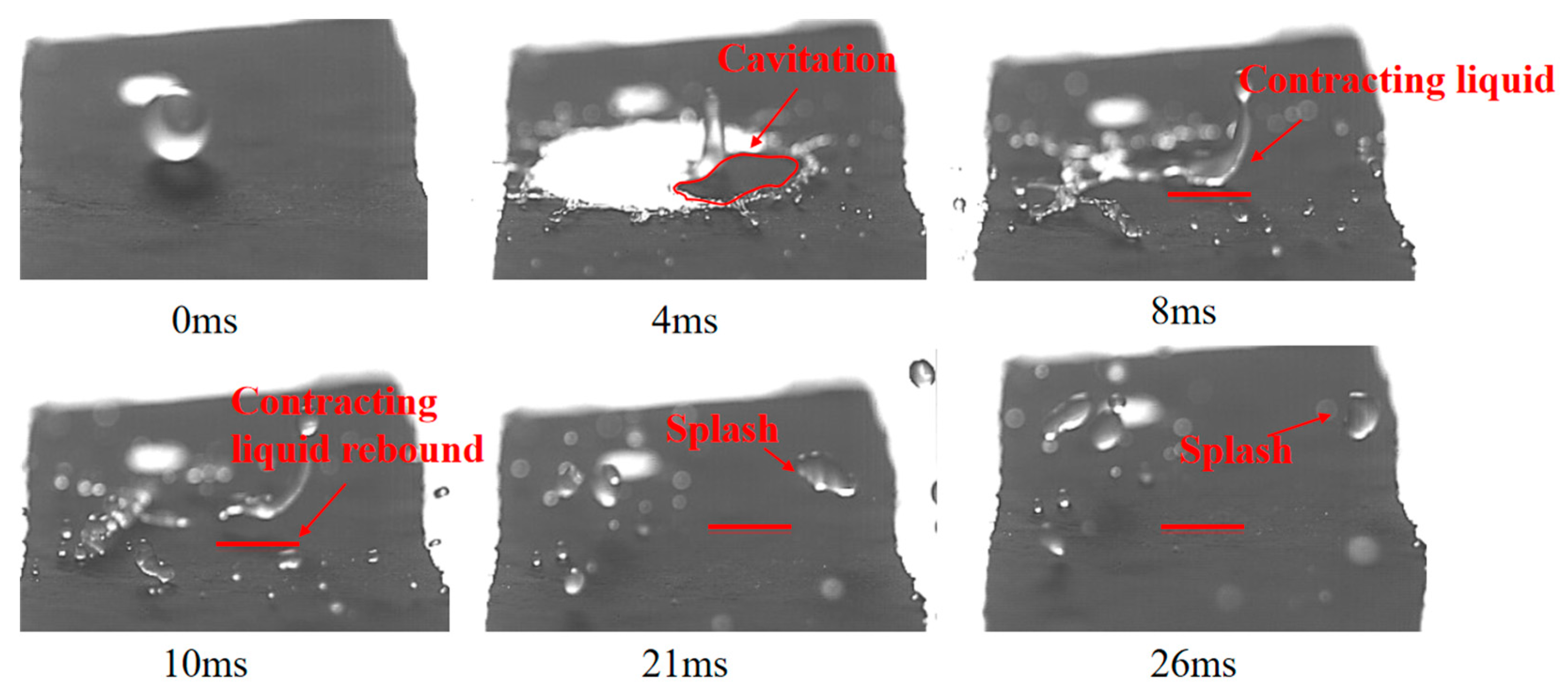 Agronomy 15 01172 g010