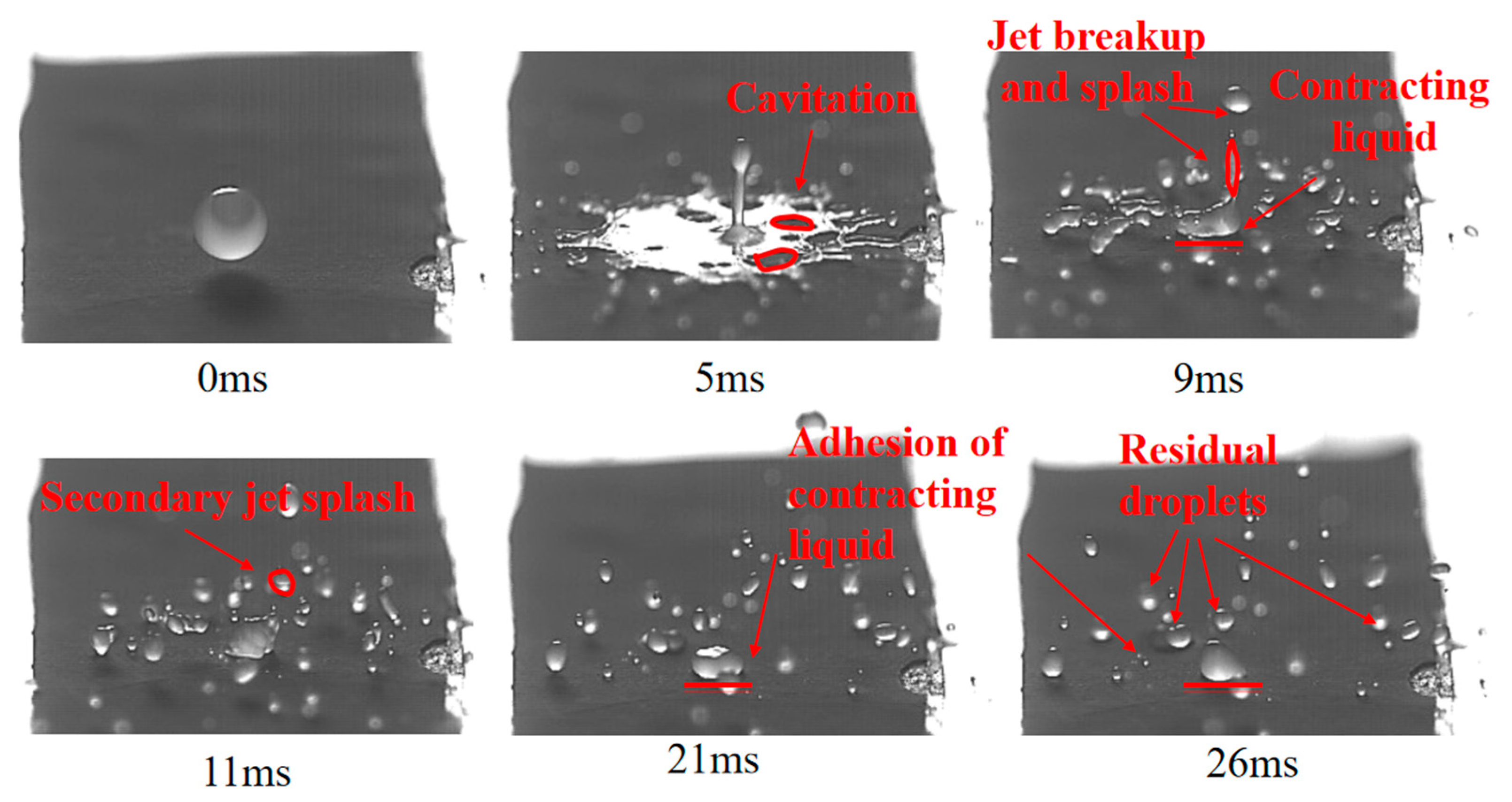 Agronomy 15 01172 g011