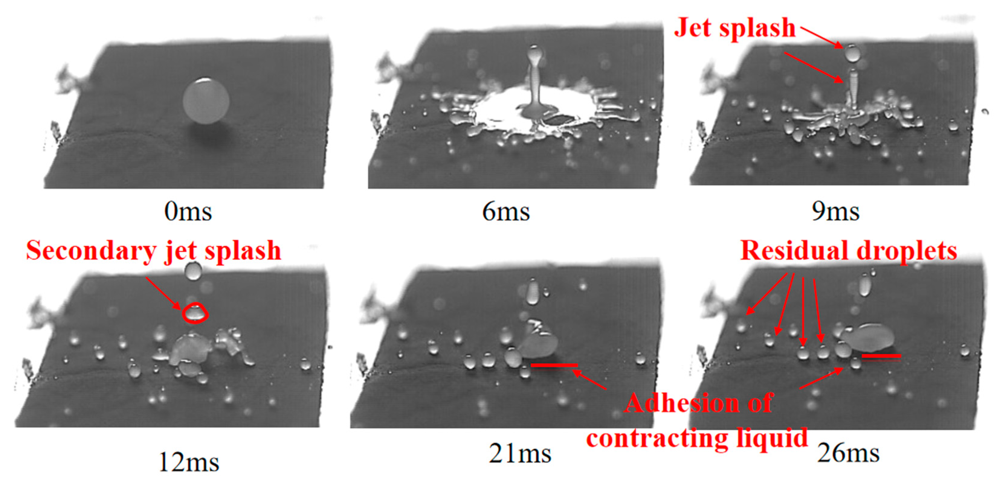 Agronomy 15 01172 g013
