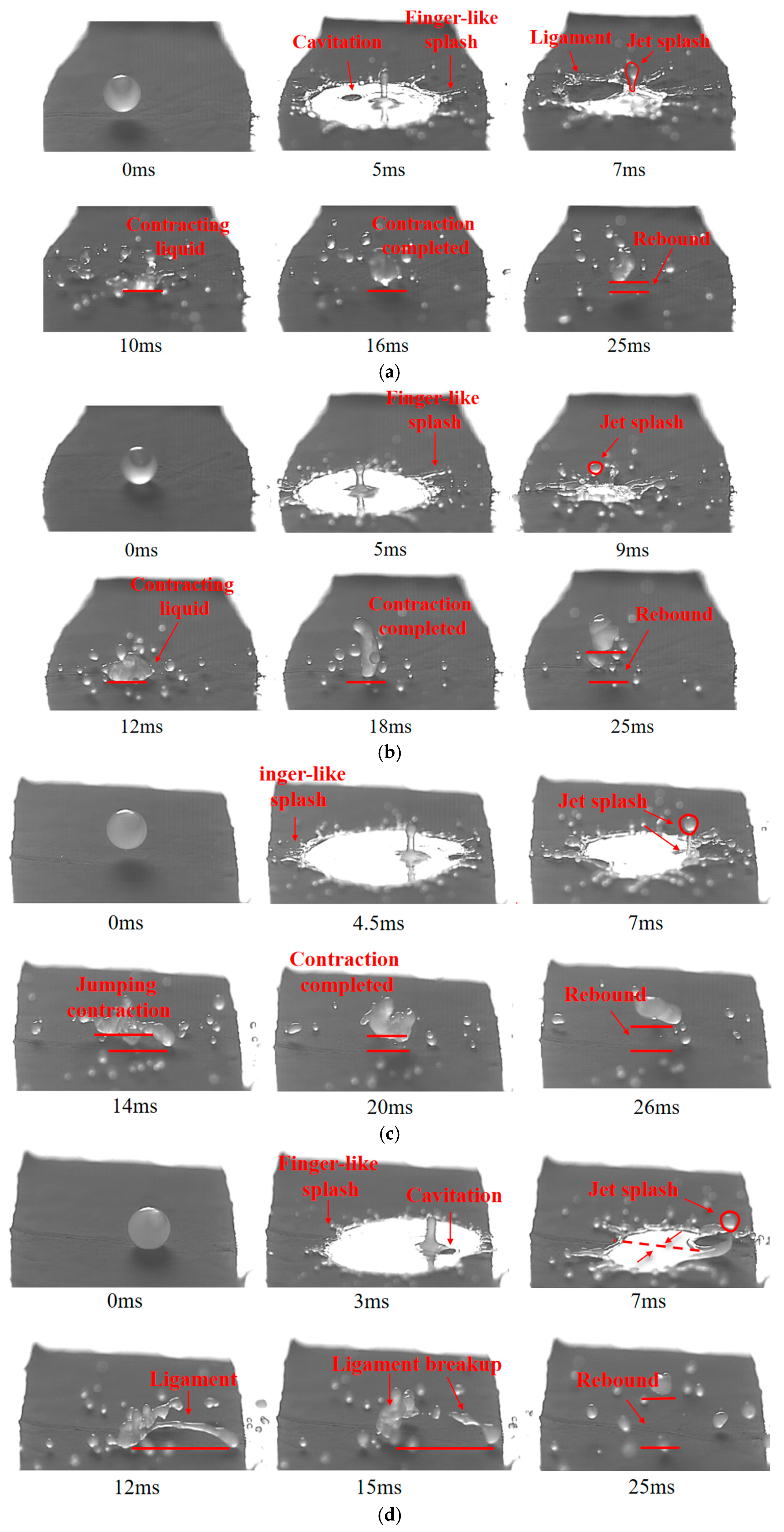 Agronomy 15 01172 g014