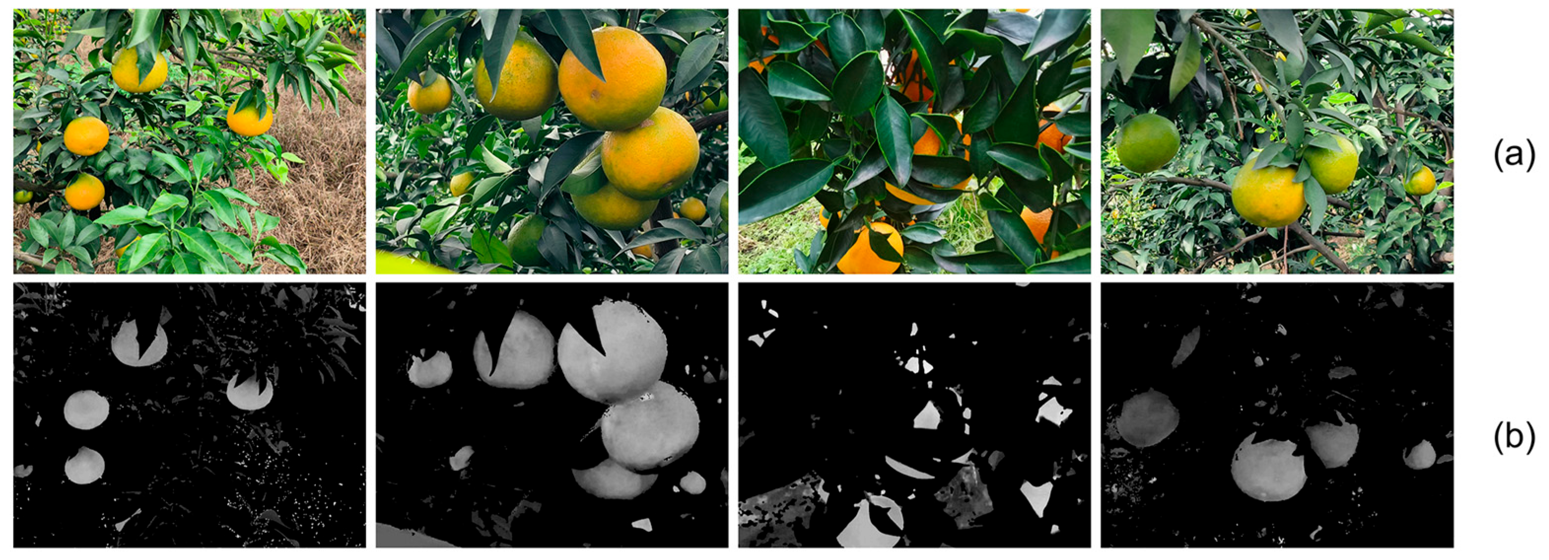 Agronomy 15 01173 g002