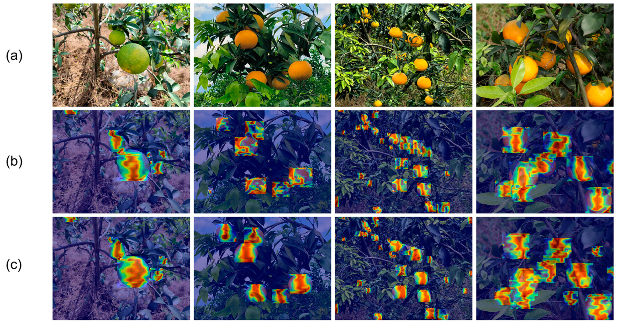 Agronomy 15 01173 g011