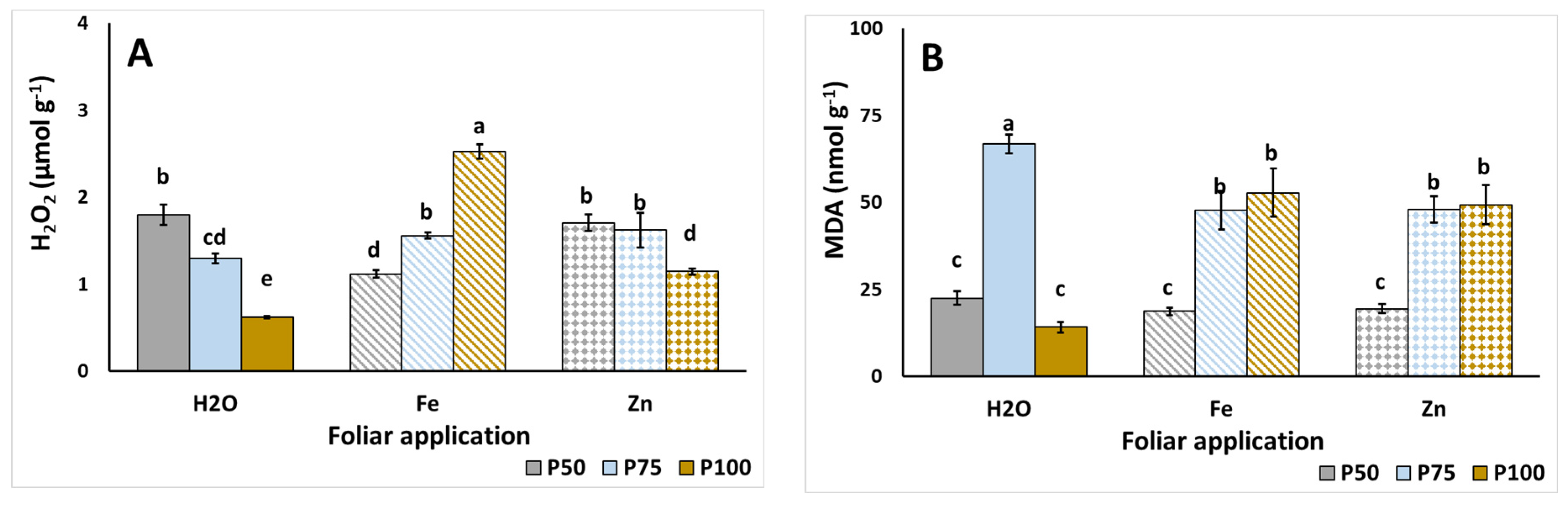 Agronomy 15 01178 g004