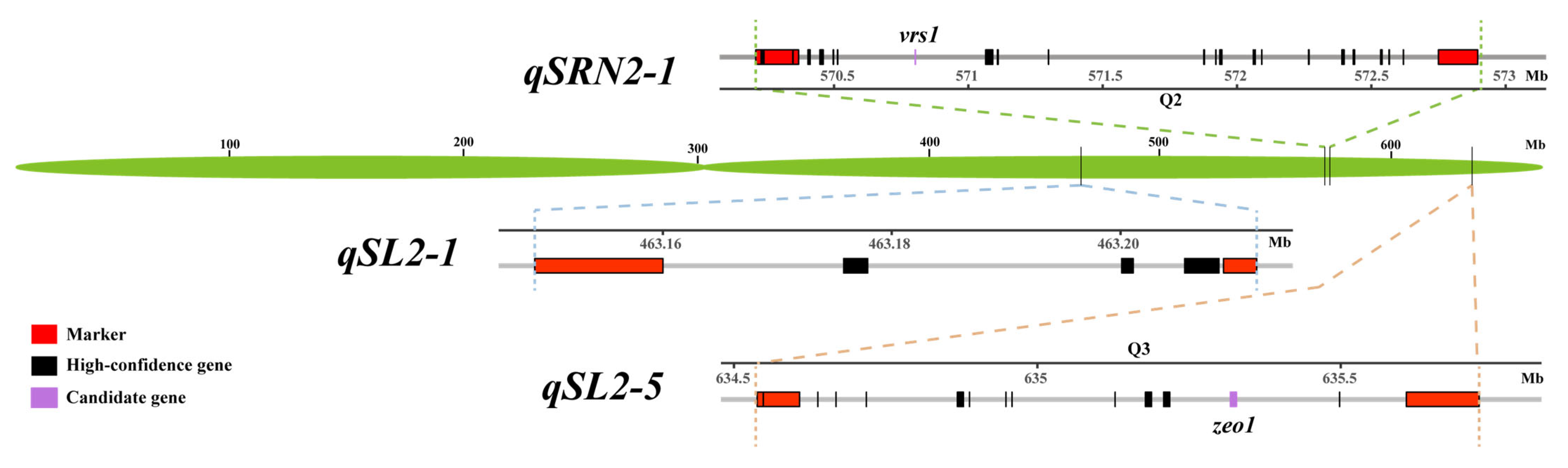 Agronomy 15 01185 g003