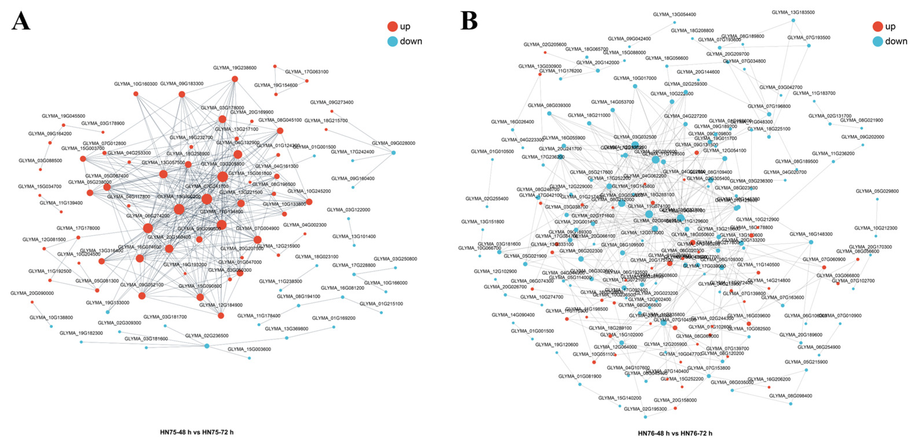Agronomy 15 01186 g005