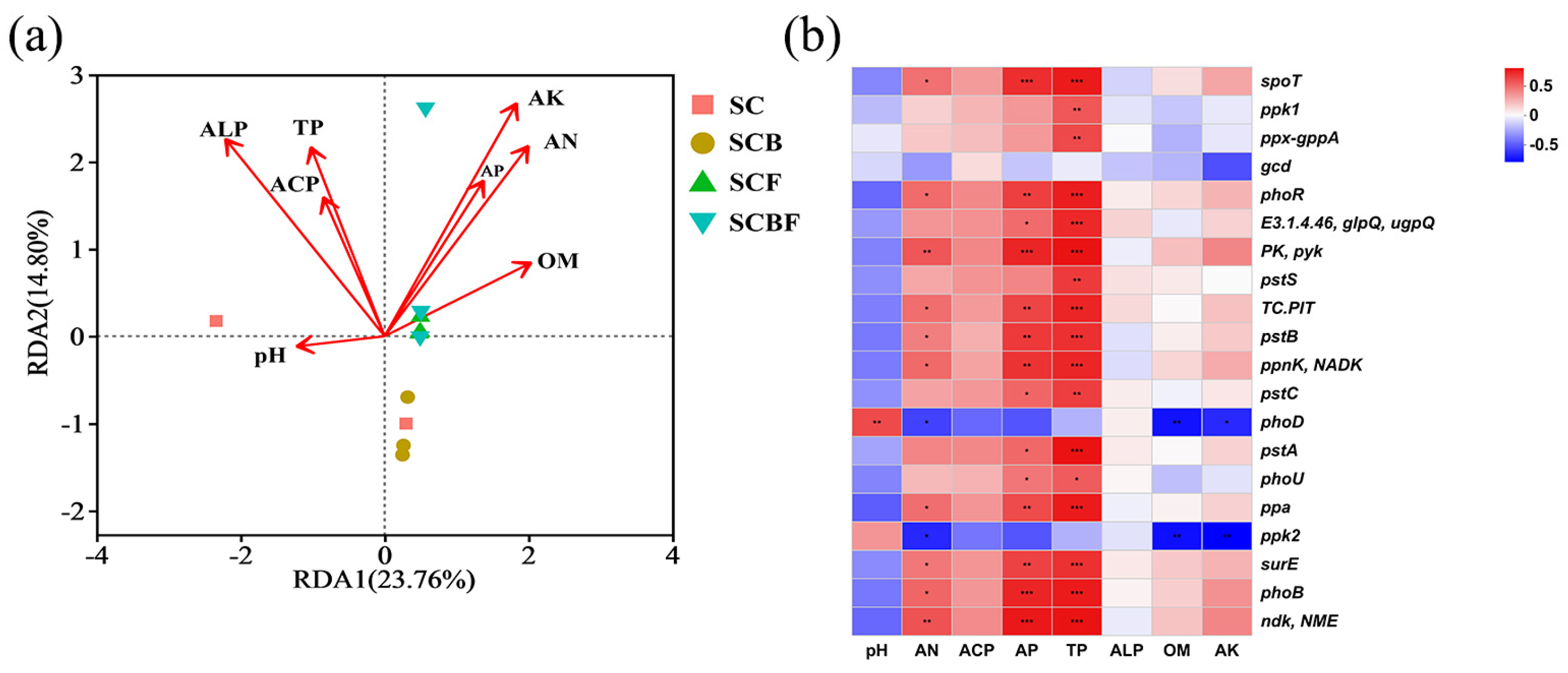 Agronomy 15 01187 g004