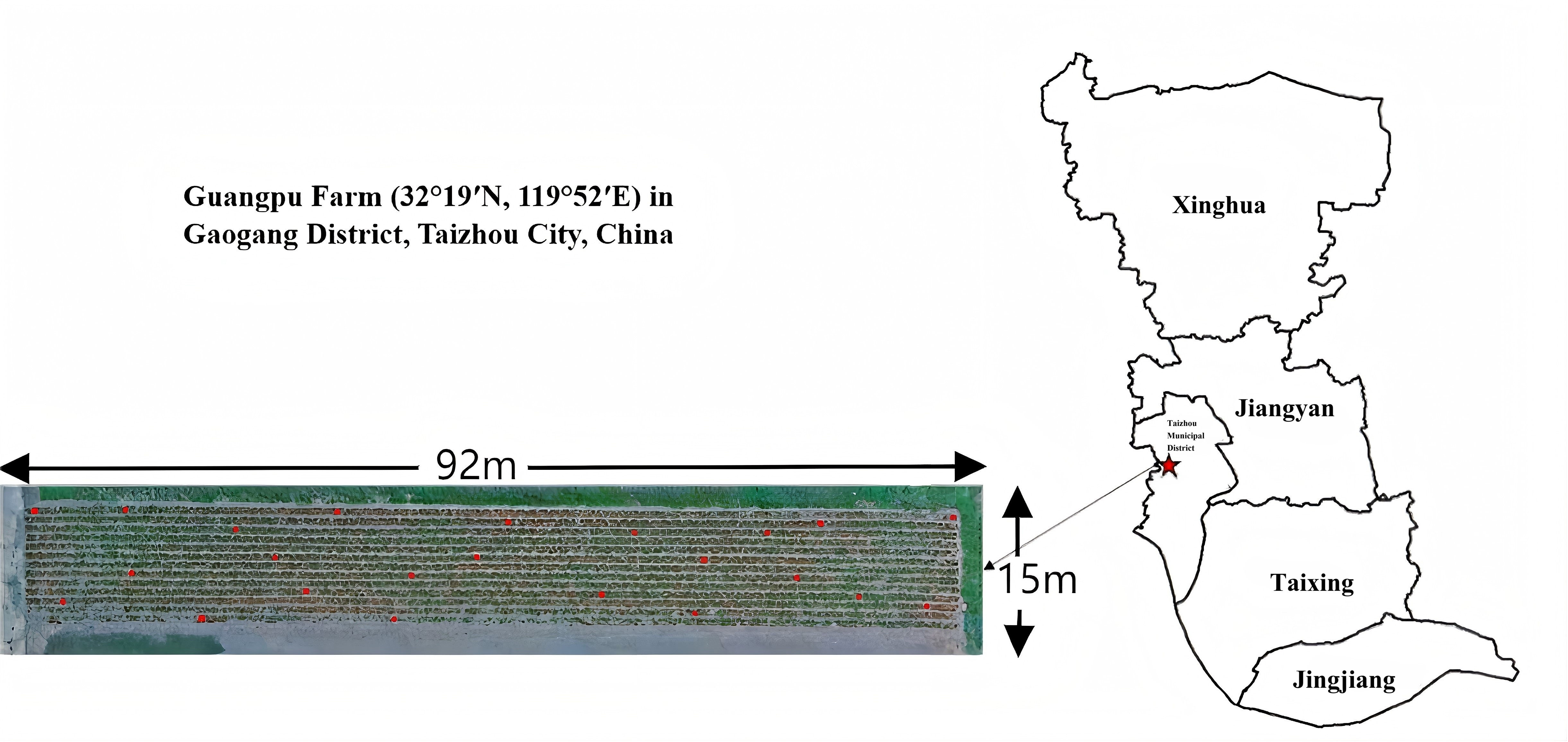 Agronomy 15 01189 g001