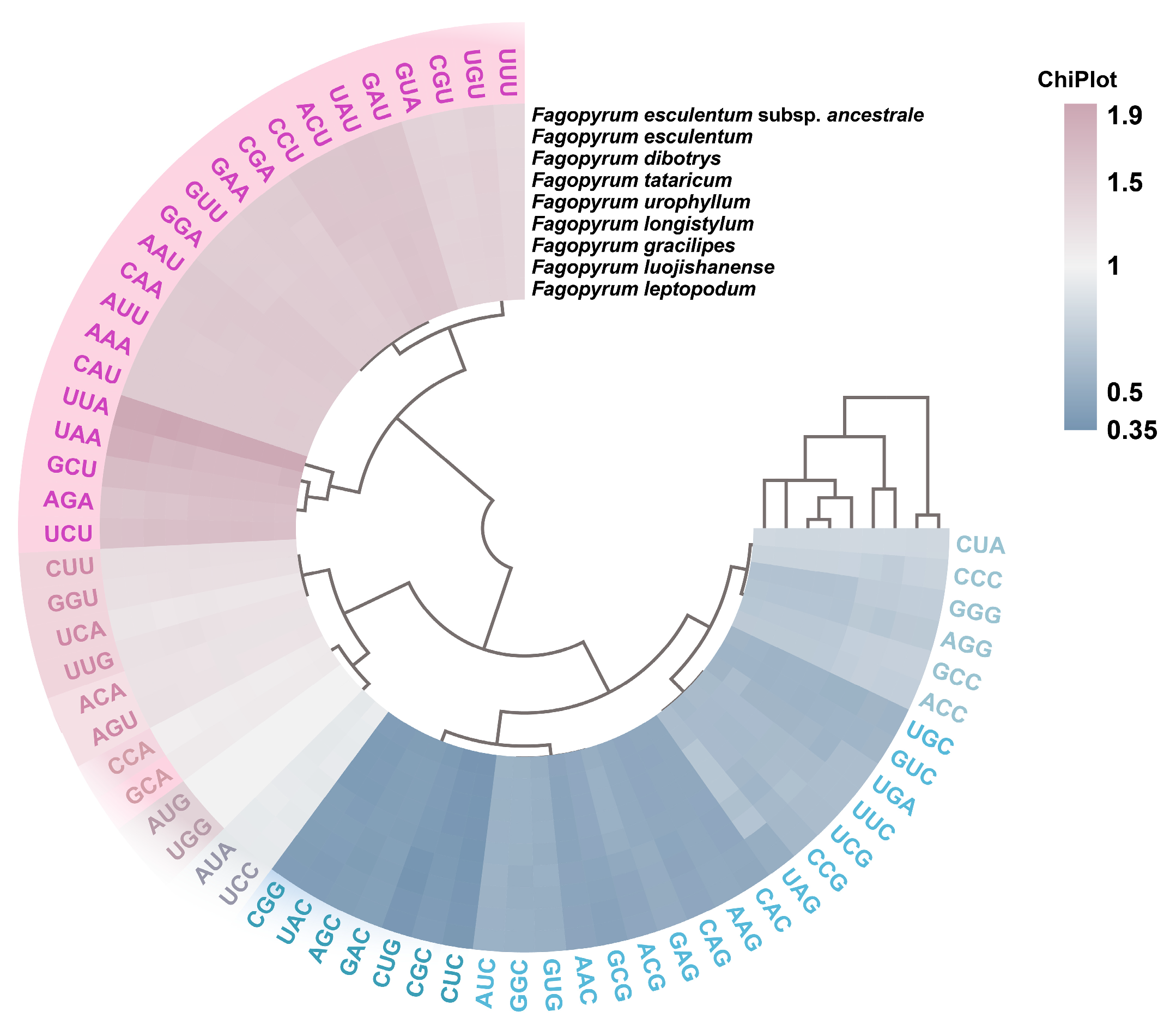 Agronomy 15 01190 g002