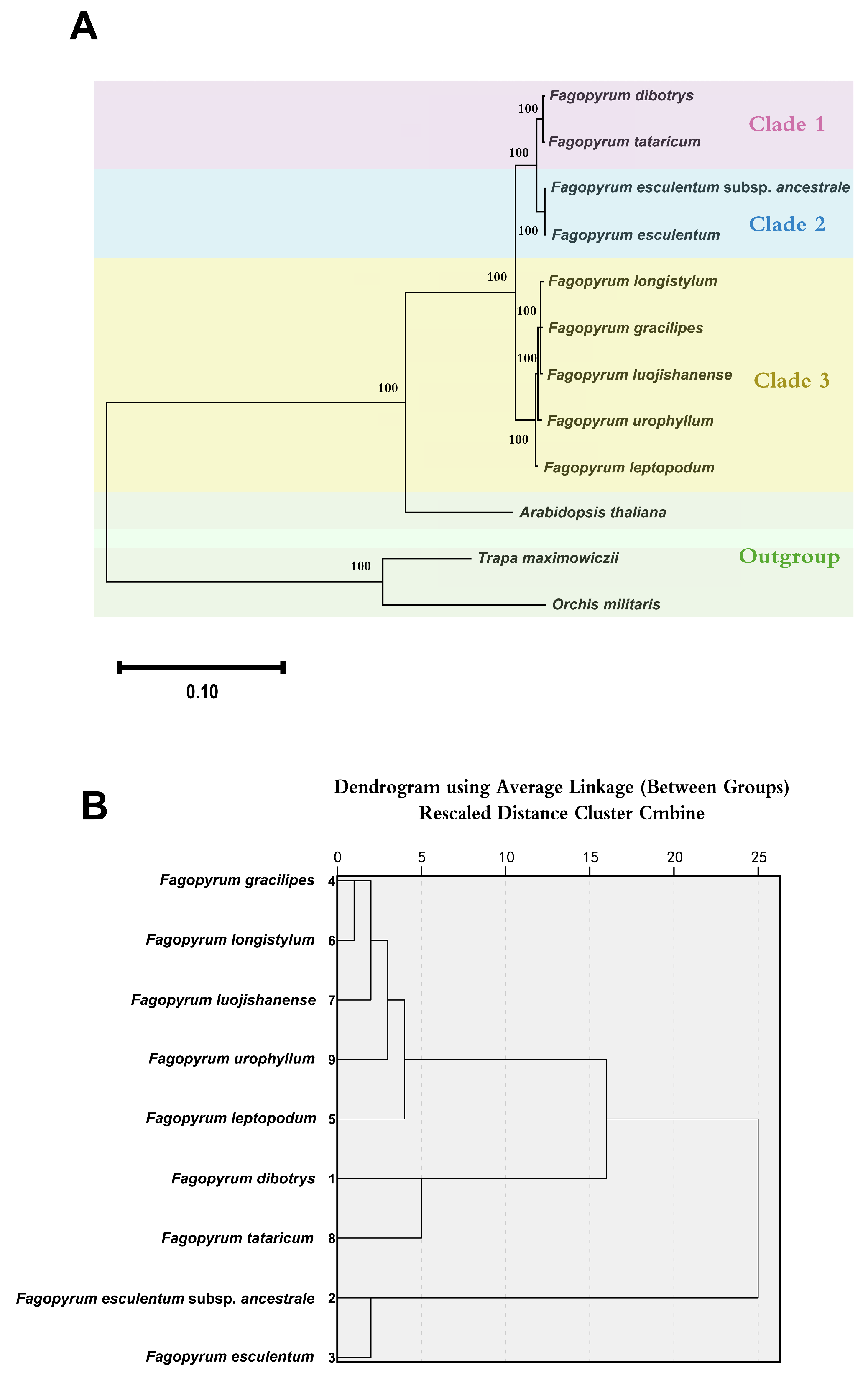 Agronomy 15 01190 g008