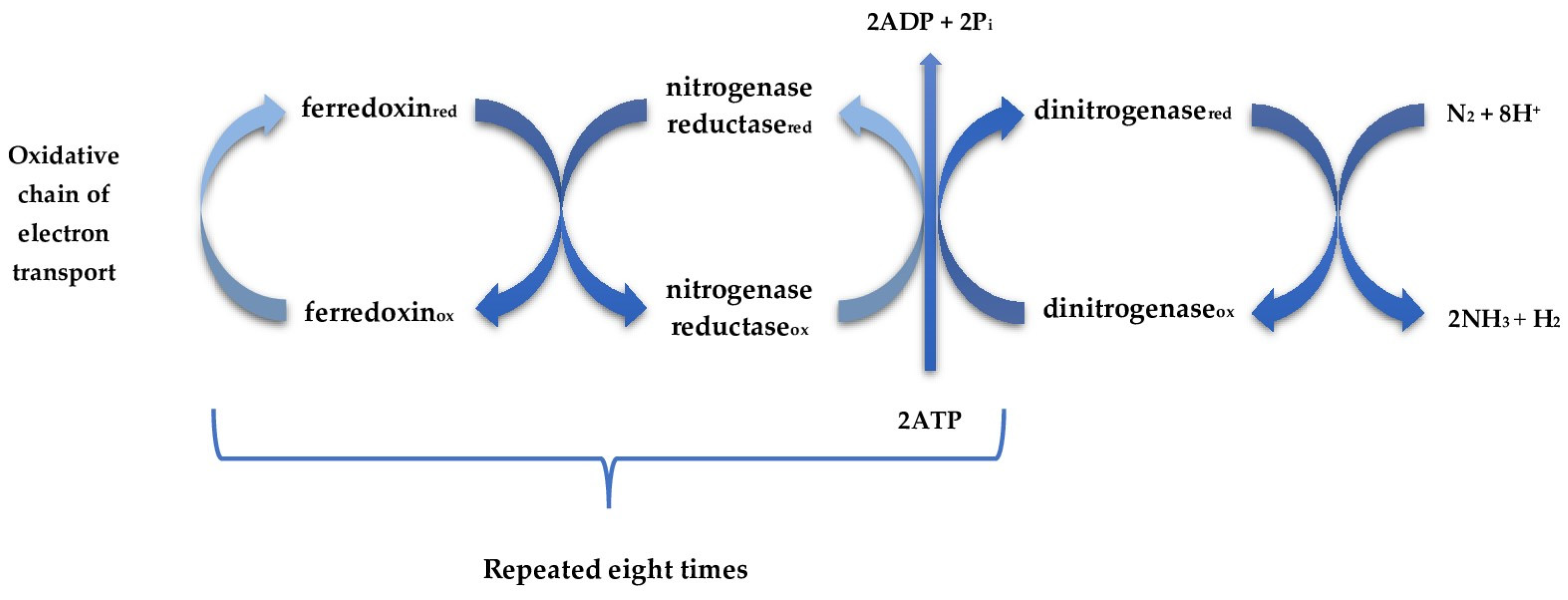 Agronomy 15 01191 g002