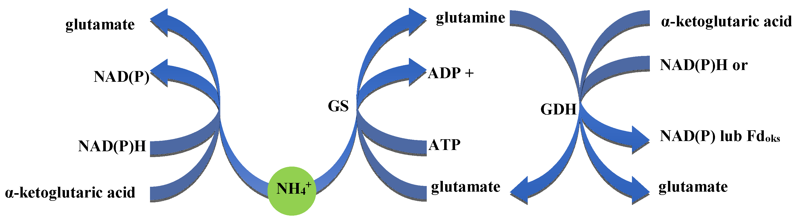 Agronomy 15 01191 g003