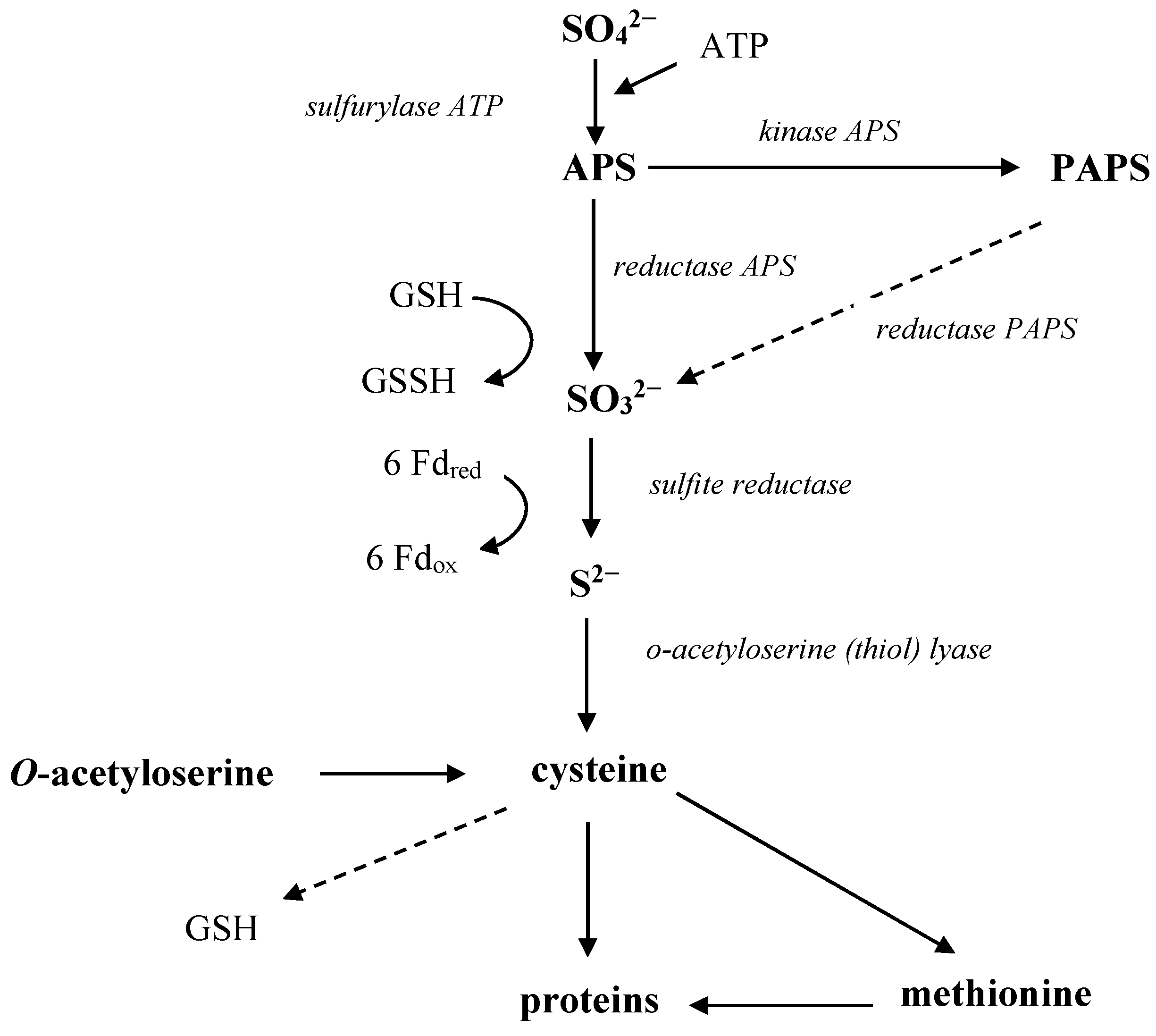 Agronomy 15 01191 g004