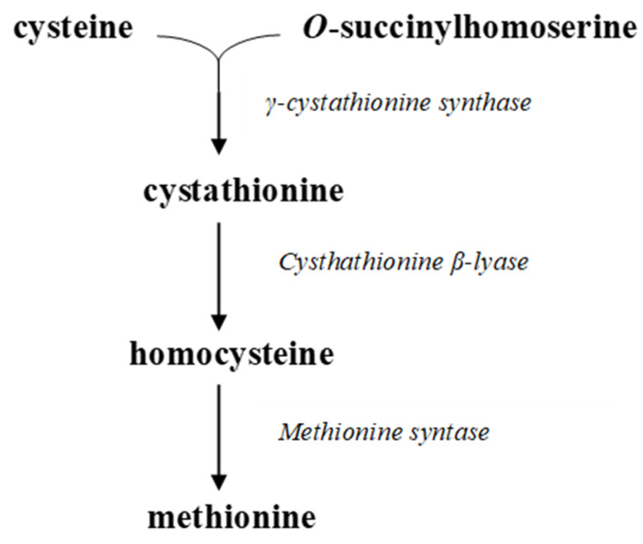 Agronomy 15 01191 g005