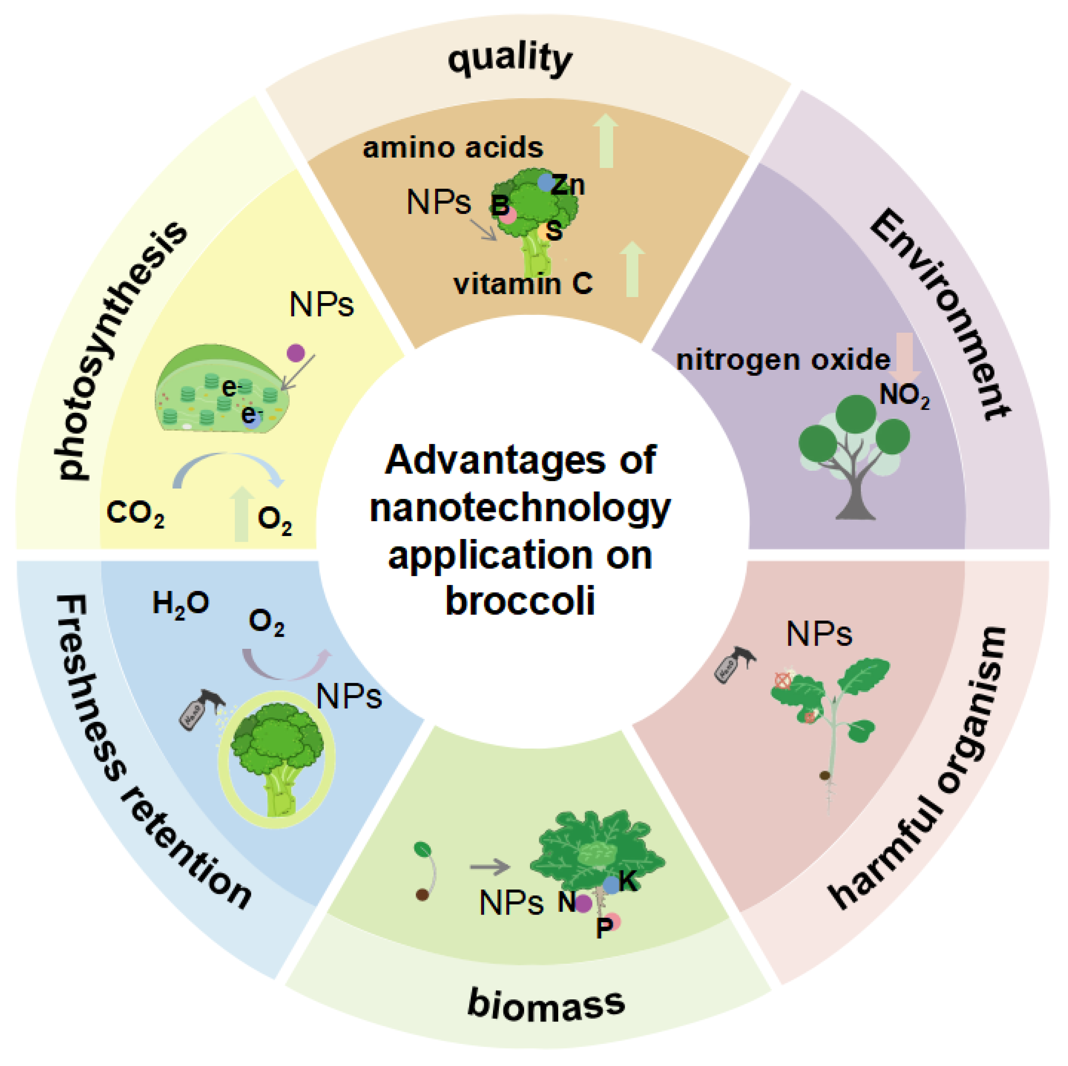 Agronomy 15 01193 g001