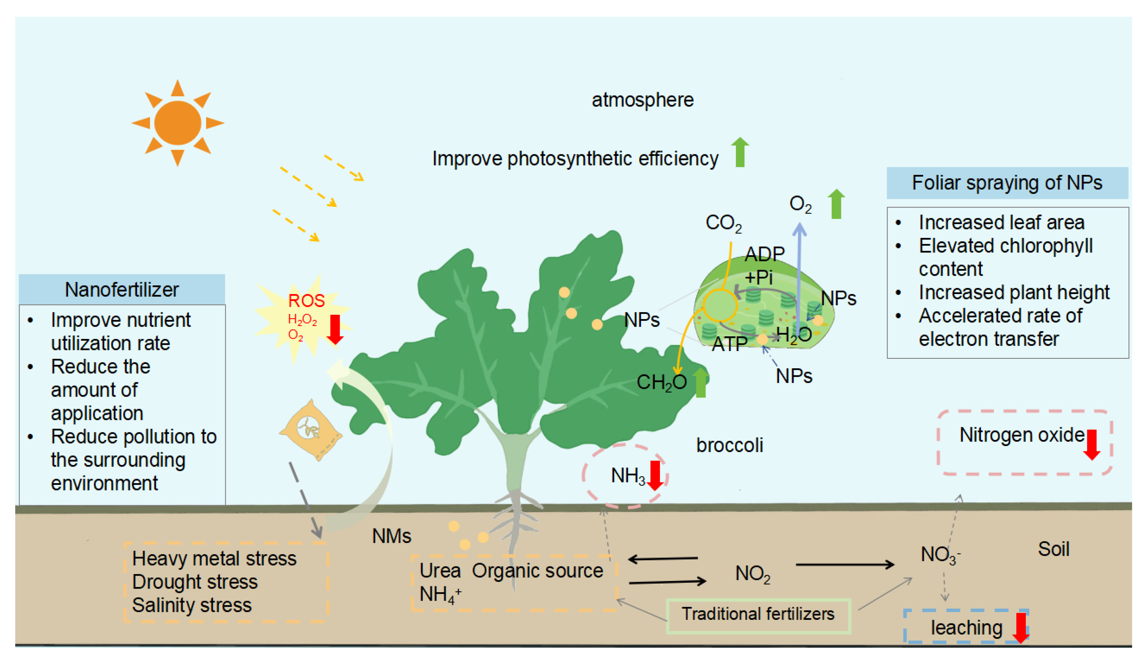Agronomy 15 01193 g002