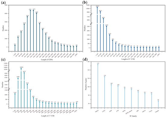 Full-Length Transcriptome Analysis of Sesbania cannabina