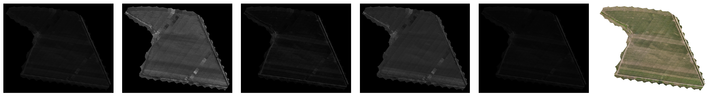 Agronomy 15 01199 g003