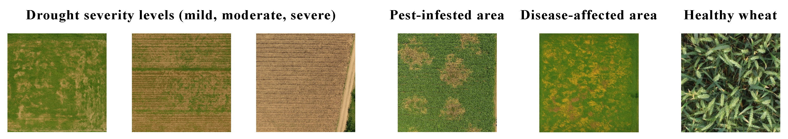 Agronomy 15 01199 g004