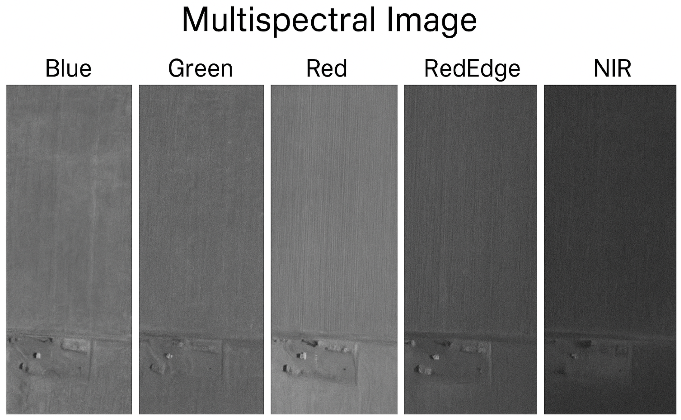 Agronomy 15 01199 g005