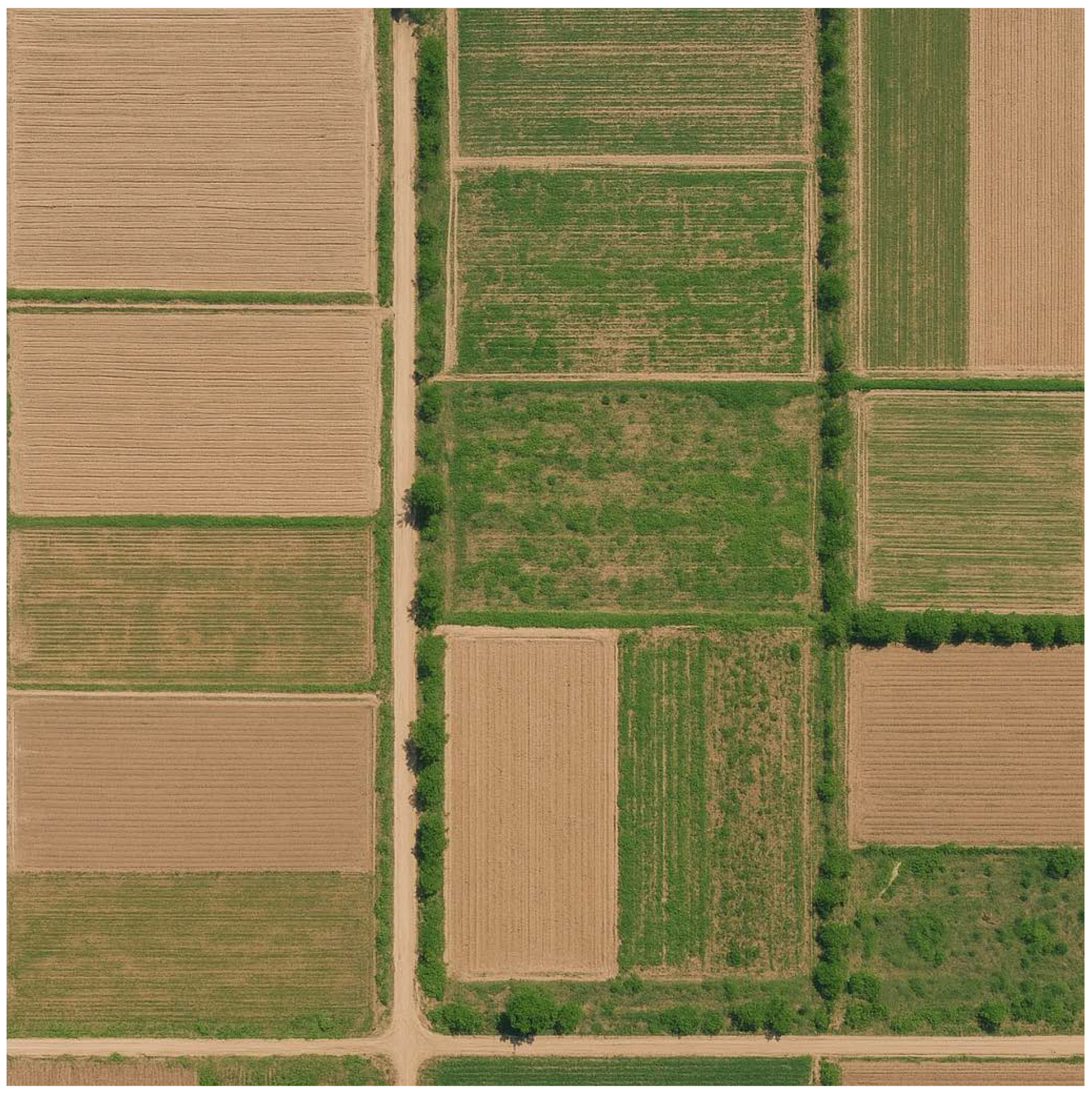 Agronomy 15 01199 g006