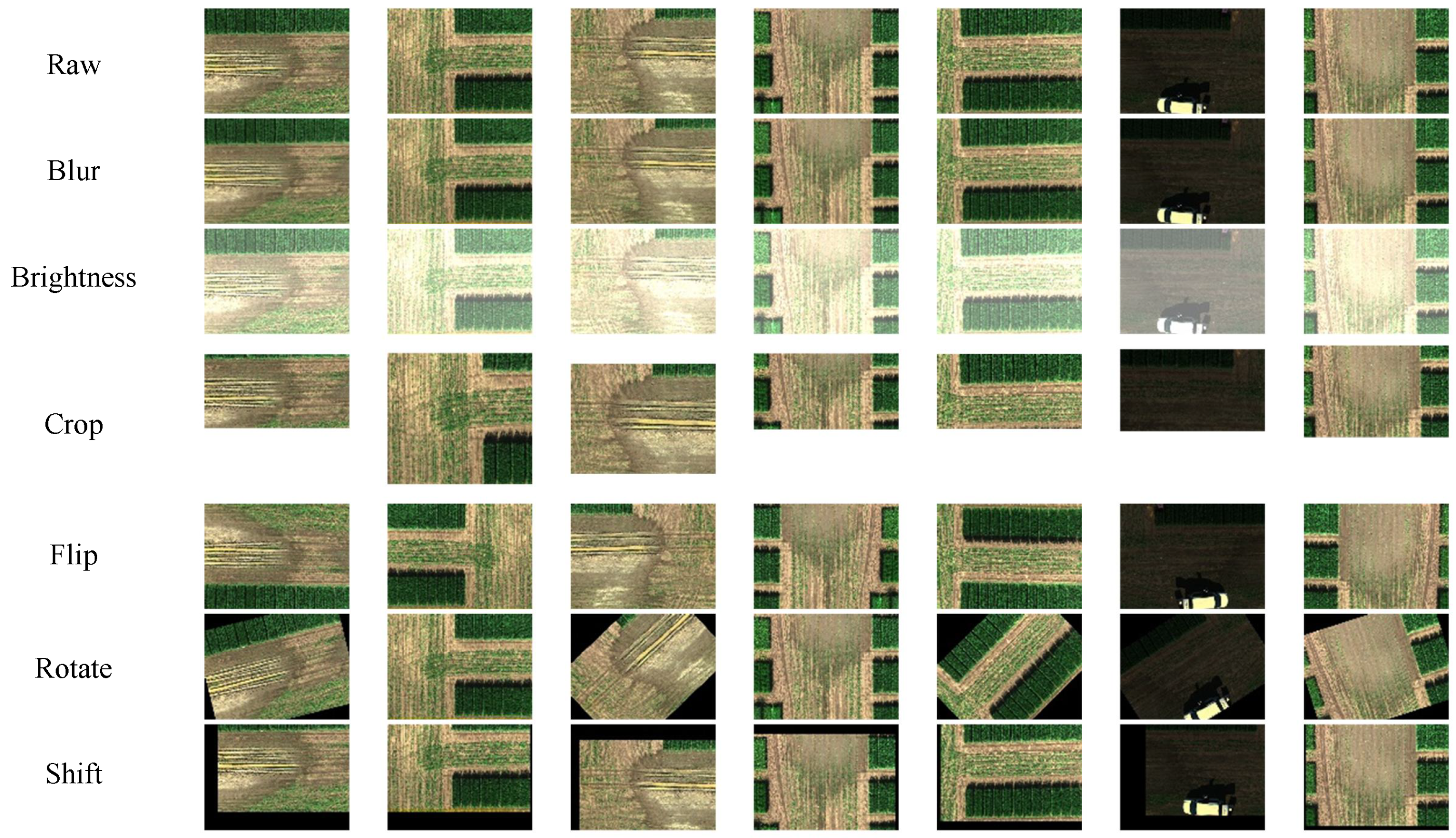 Agronomy 15 01199 g007